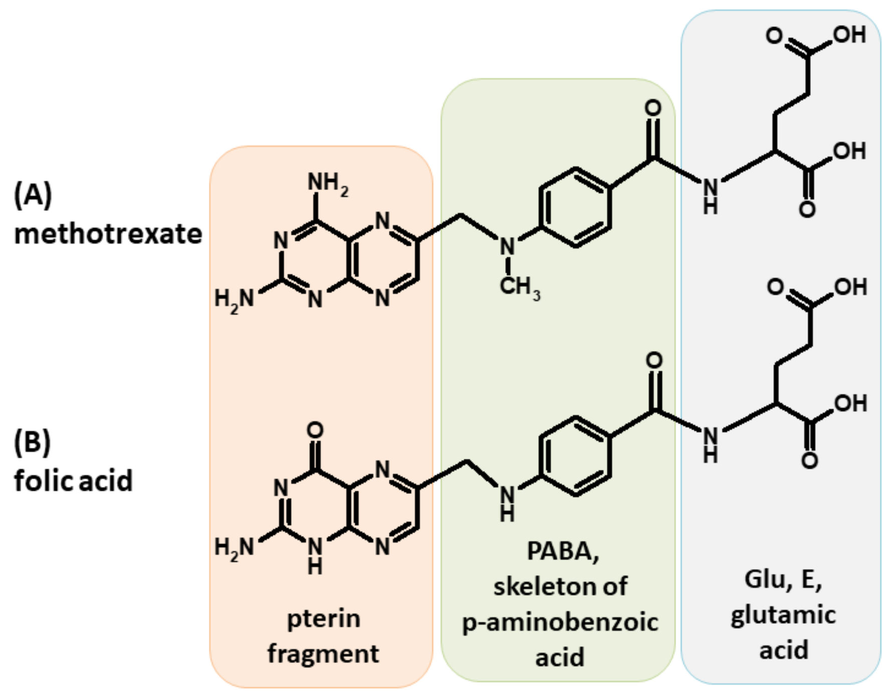 Molecules 26 05862 g001