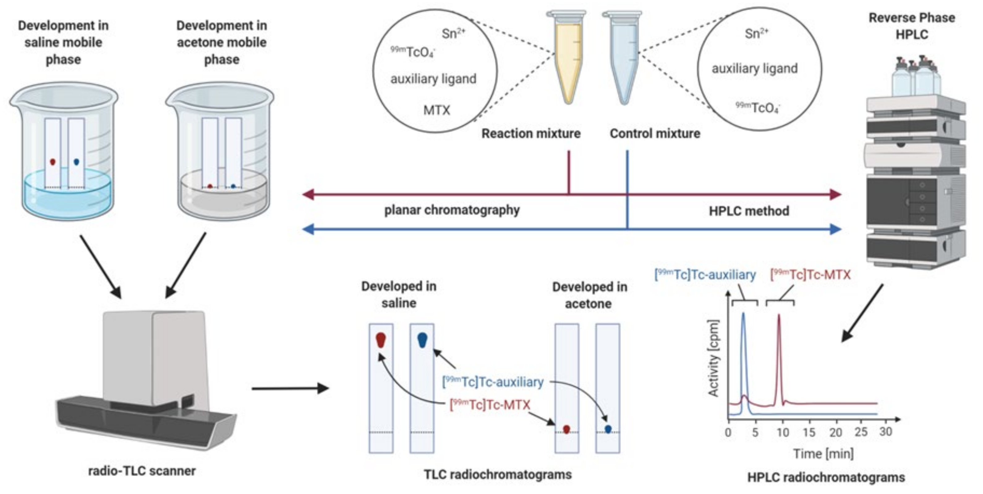 Molecules 26 05862 g009