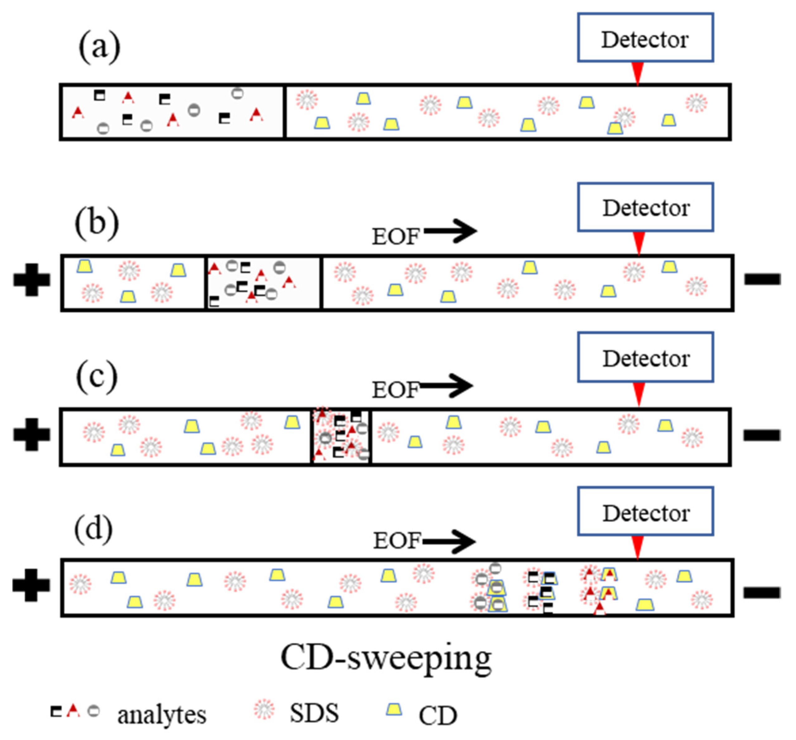 Molecules 26 05865 g001