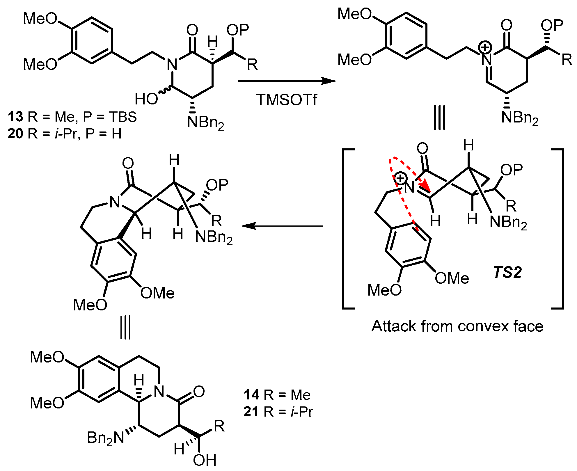 Molecules 26 05866 sch010 550