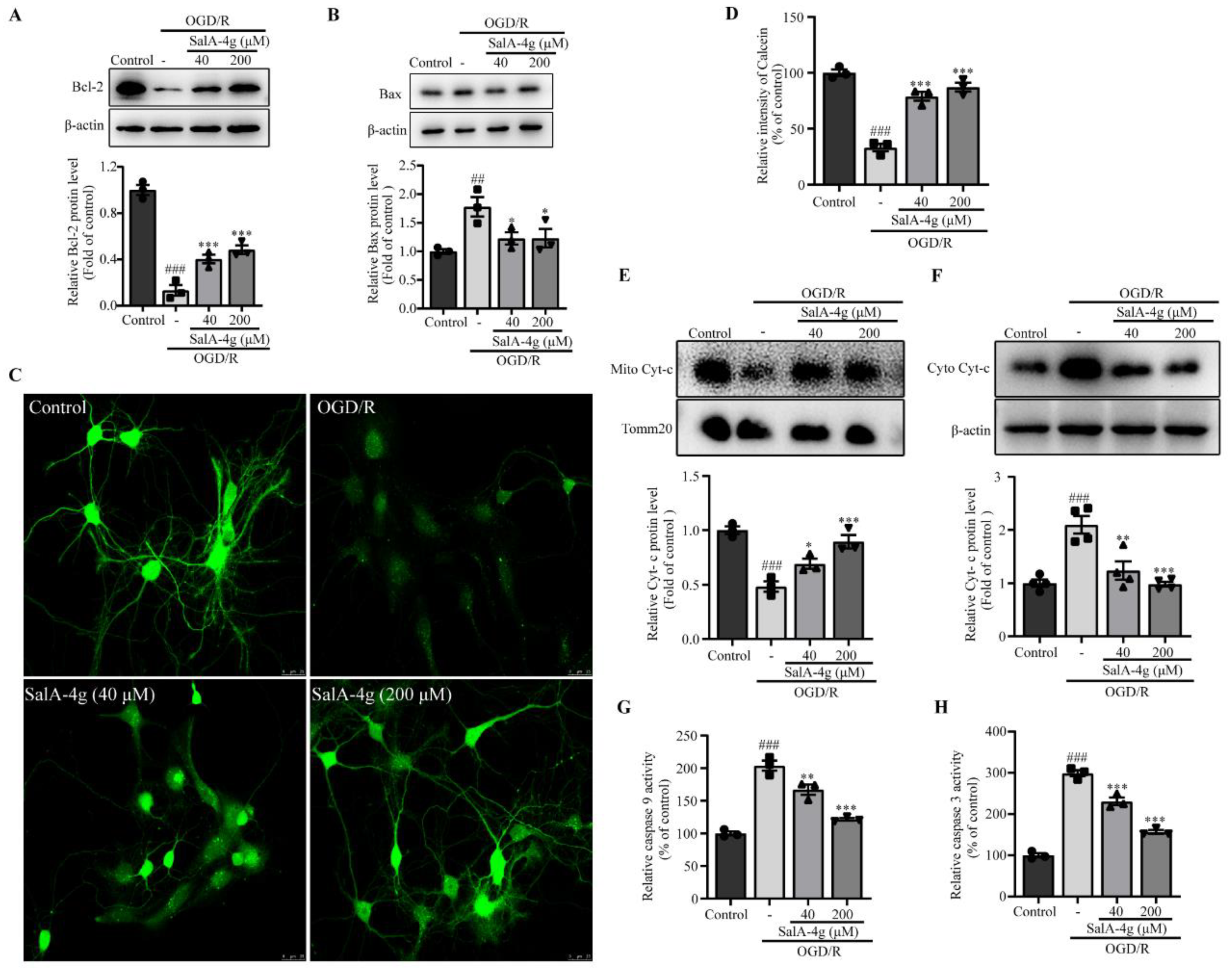 Molecules 26 05883 g005 550