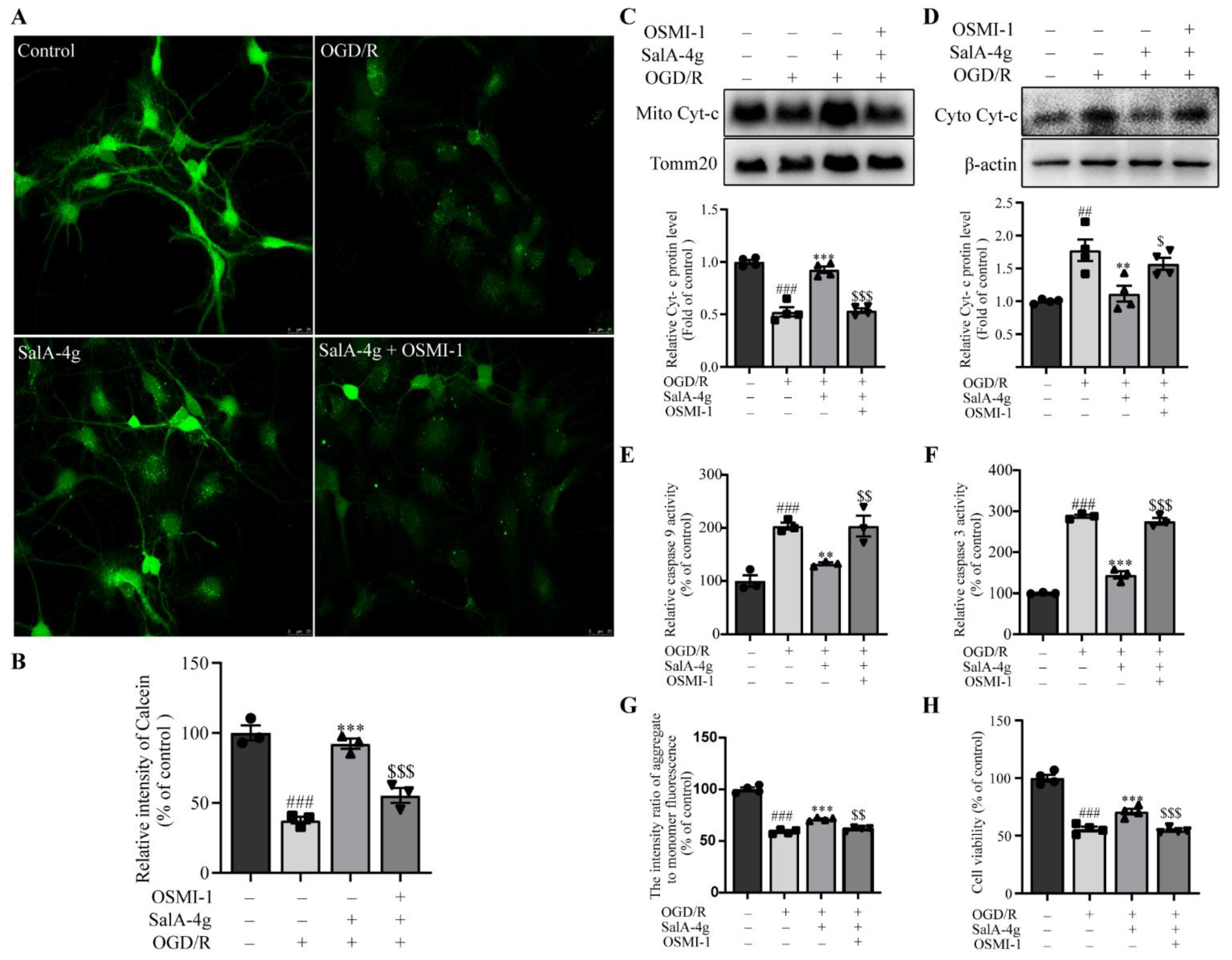 Molecules 26 05883 g008 550