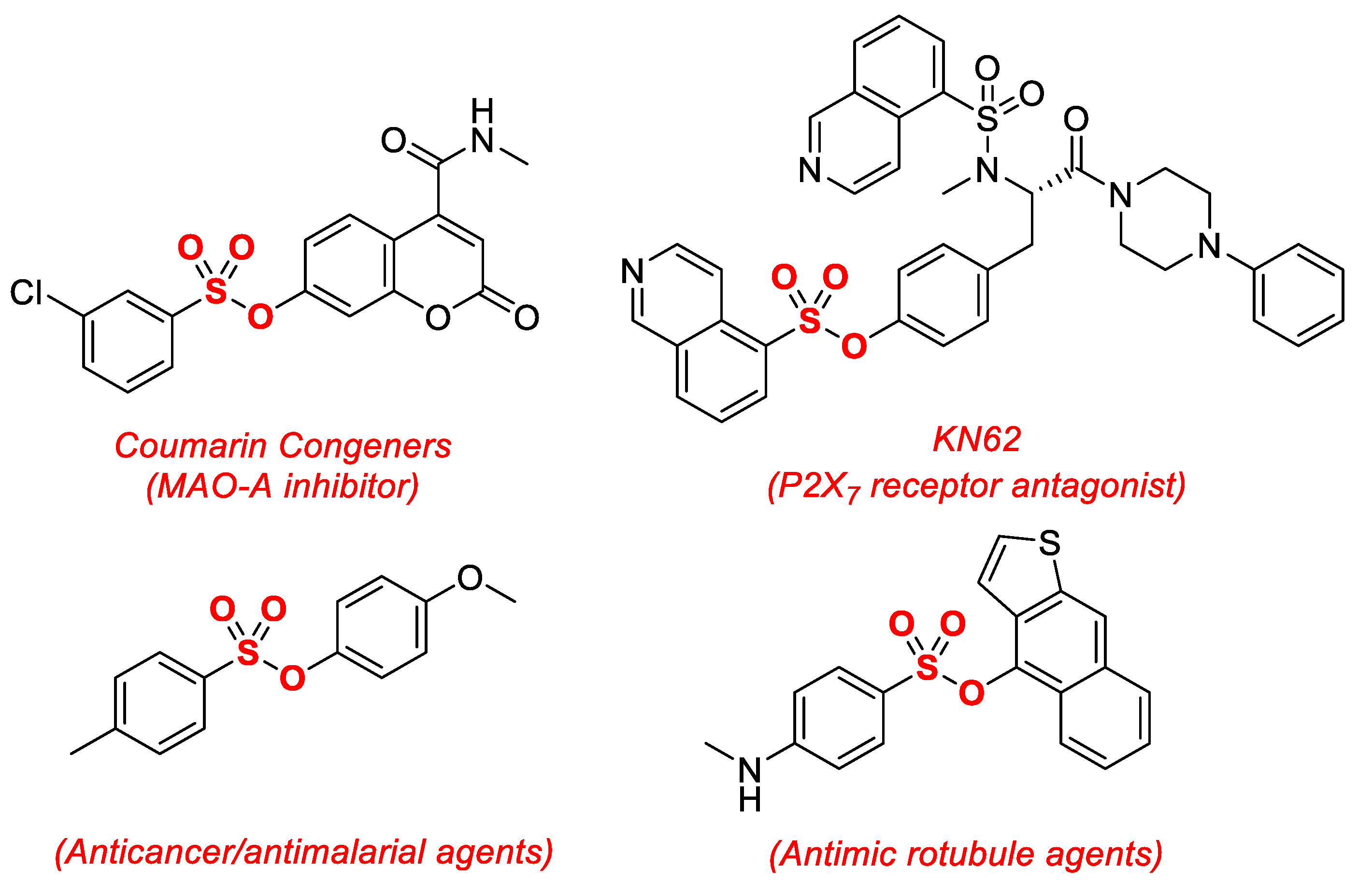 Molecules 26 05895 g001
