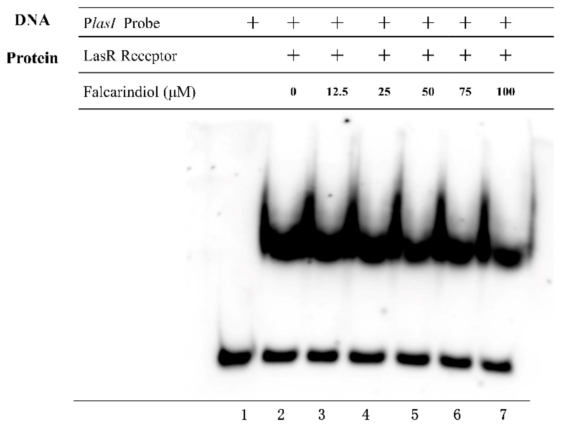 Molecules 26 05896 g004 550