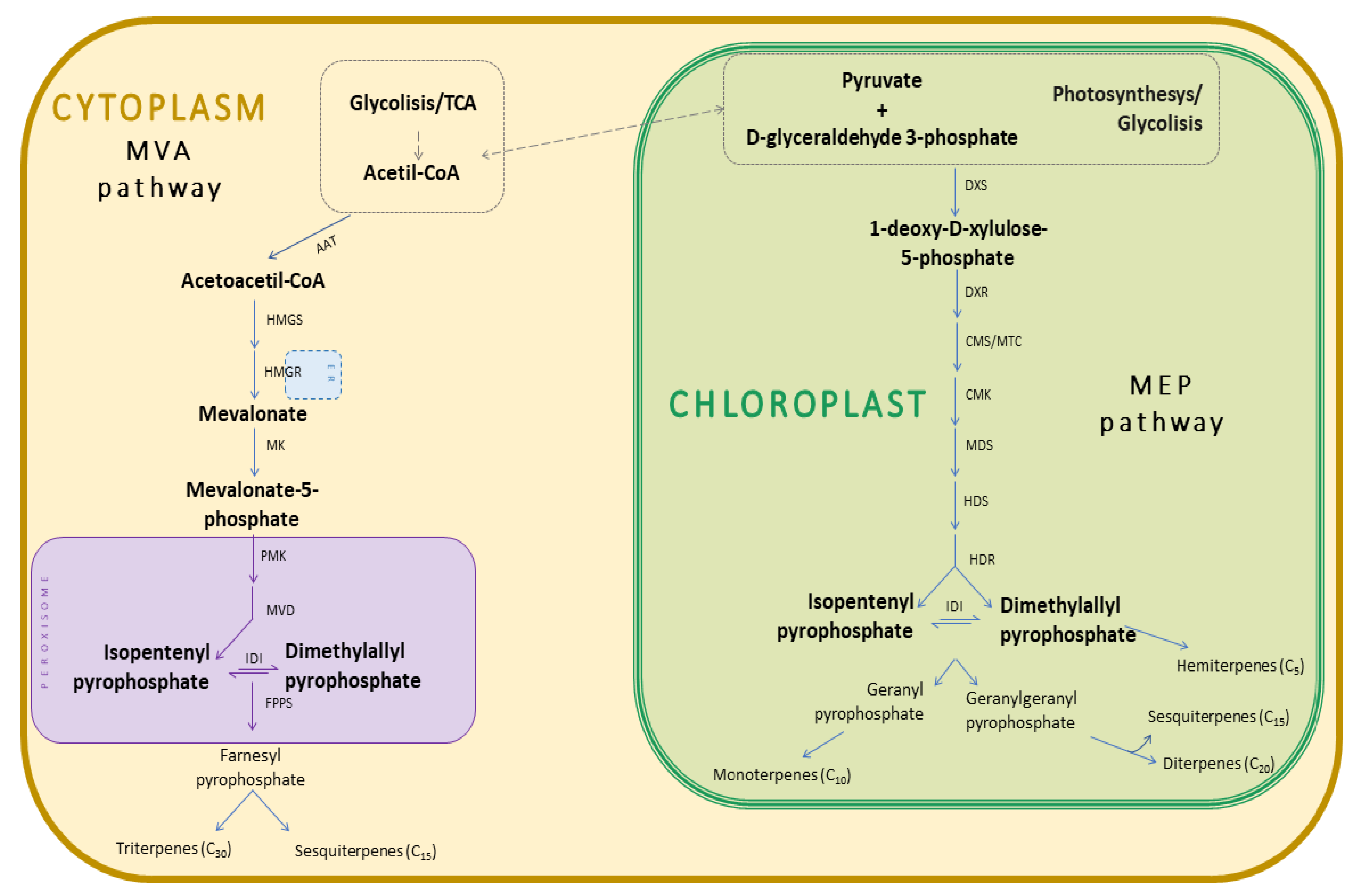Molecules 26 05898 g001 550