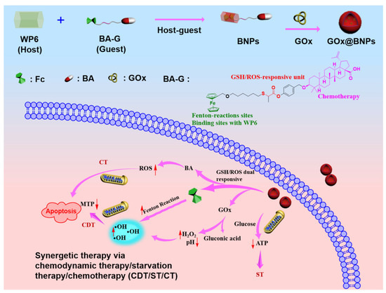 GSH/ROS Dual-Responsive Supramolecular Nanoparticles Based