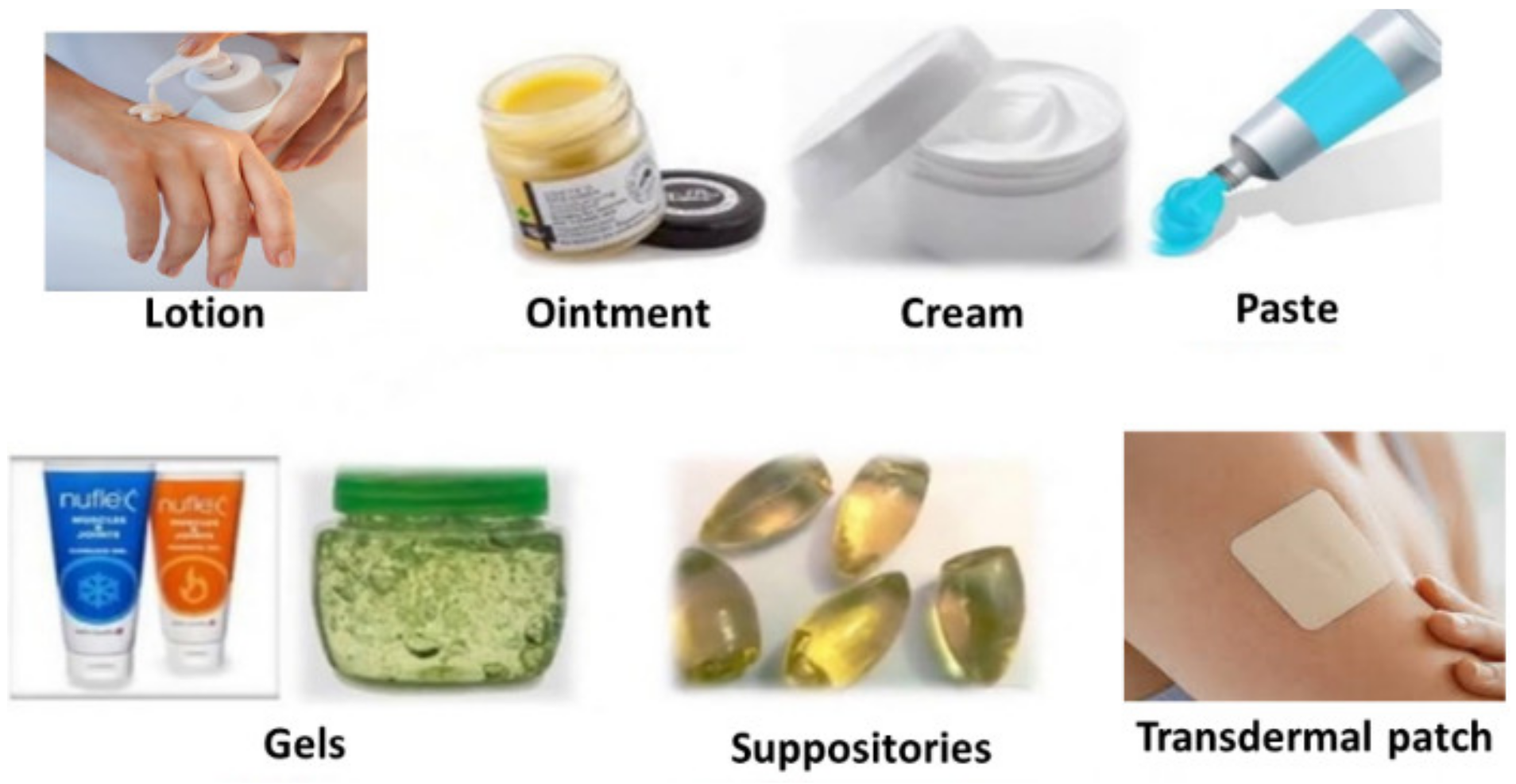 Molecules 26 05905 g007 550