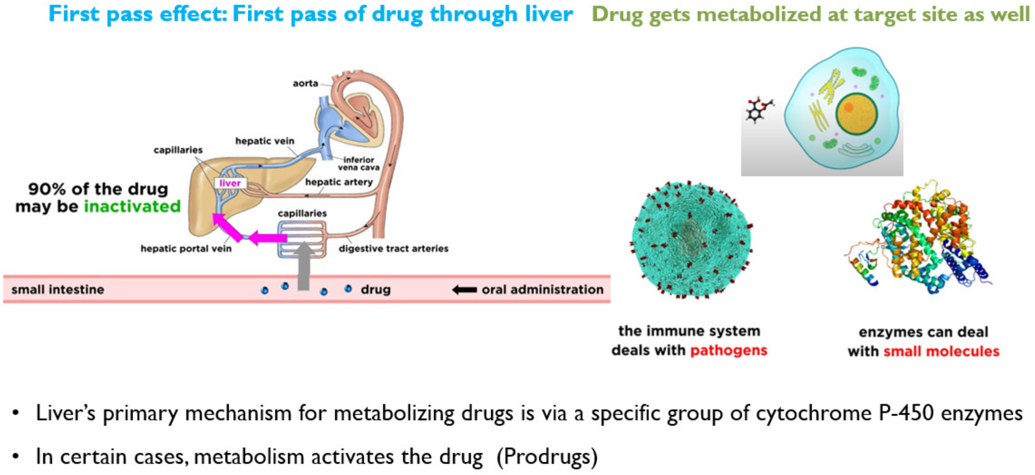 Molecules 26 05905 g013 550