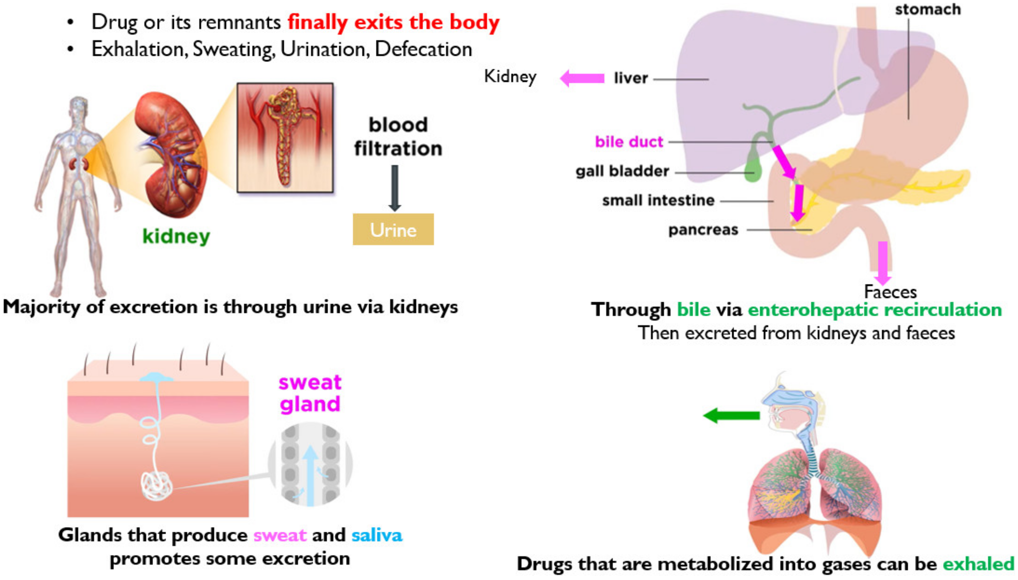 Molecules 26 05905 g014 550