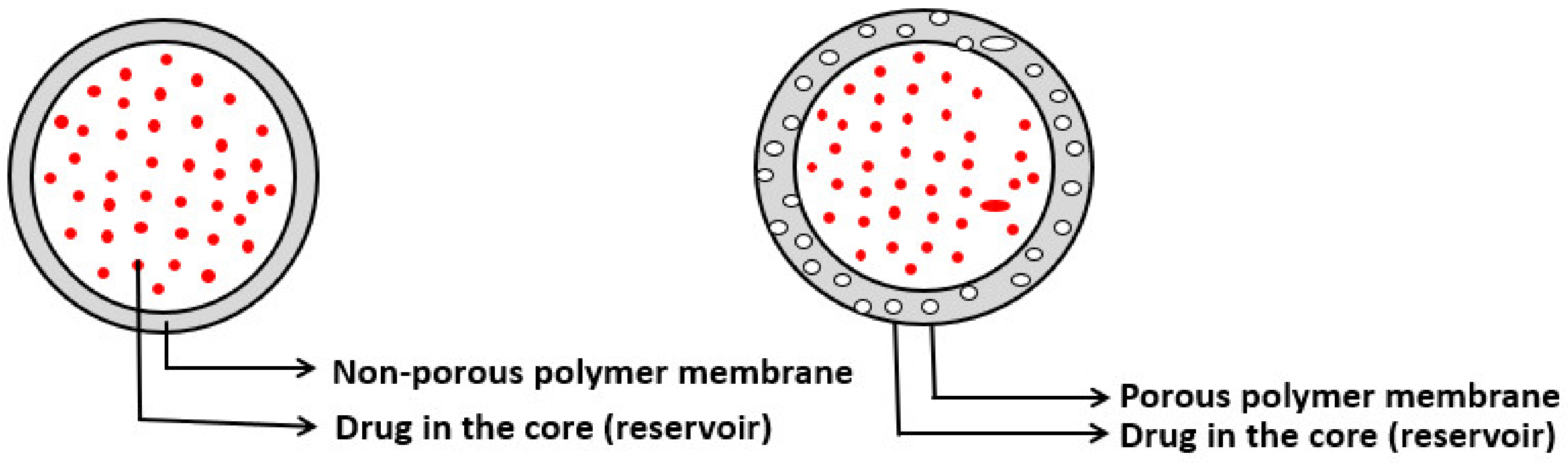 Molecules 26 05905 g025 550