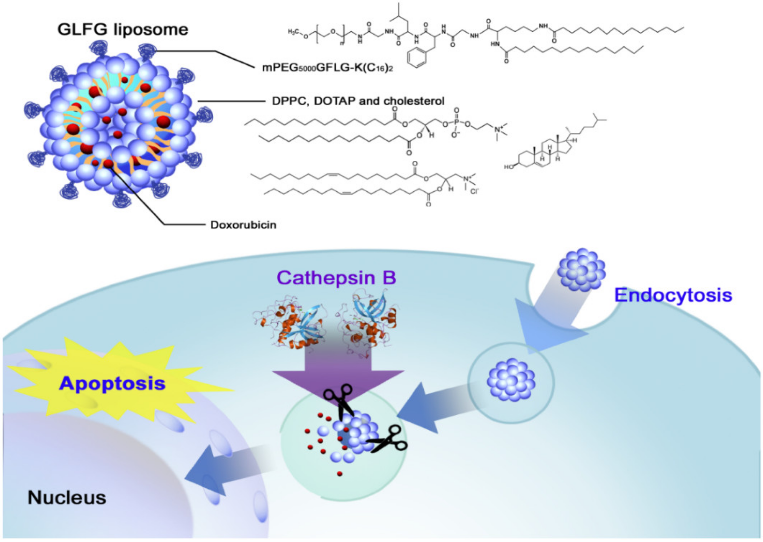 Molecules 26 05905 g034 550