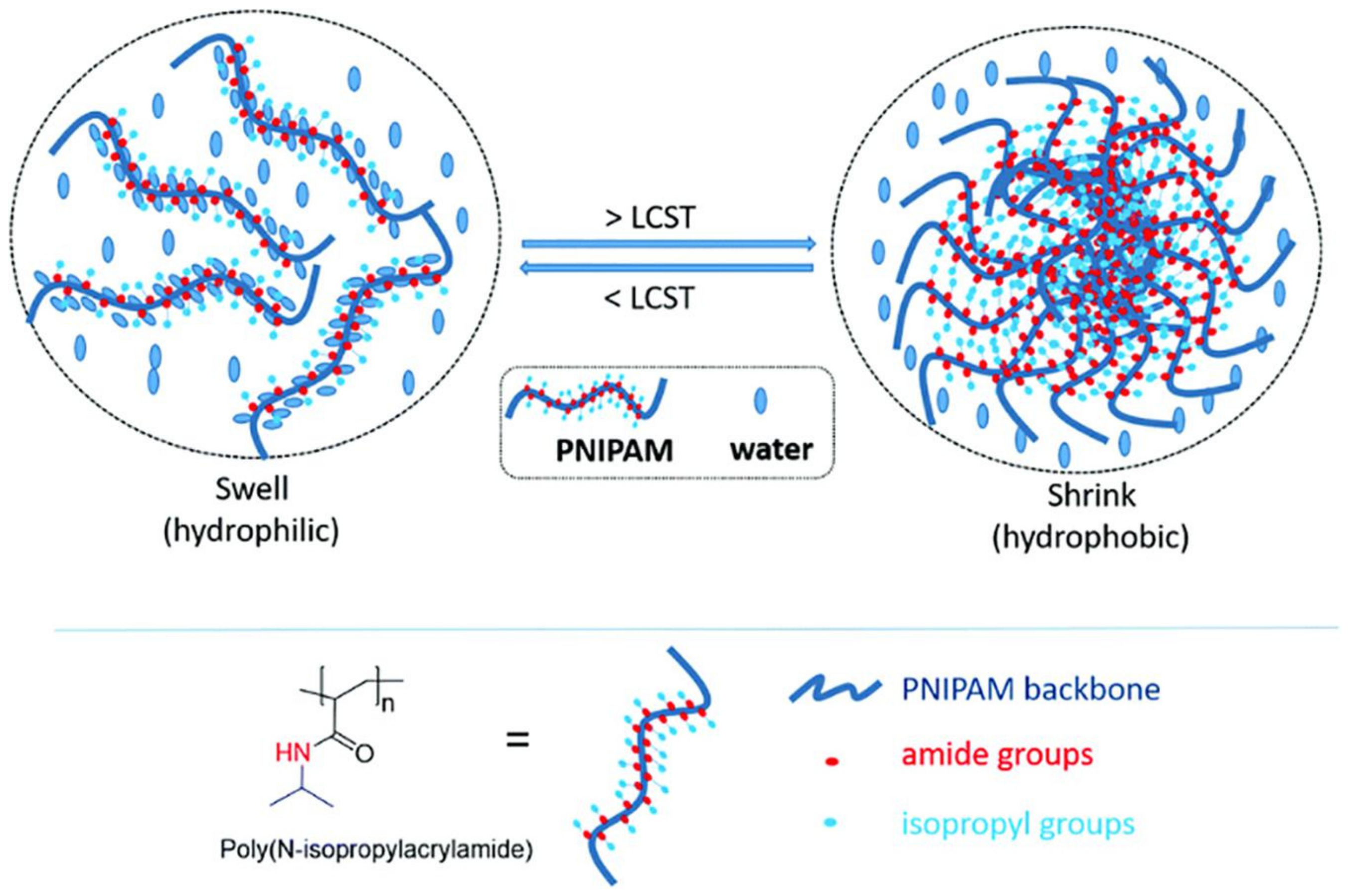 Molecules 26 05905 g036 550