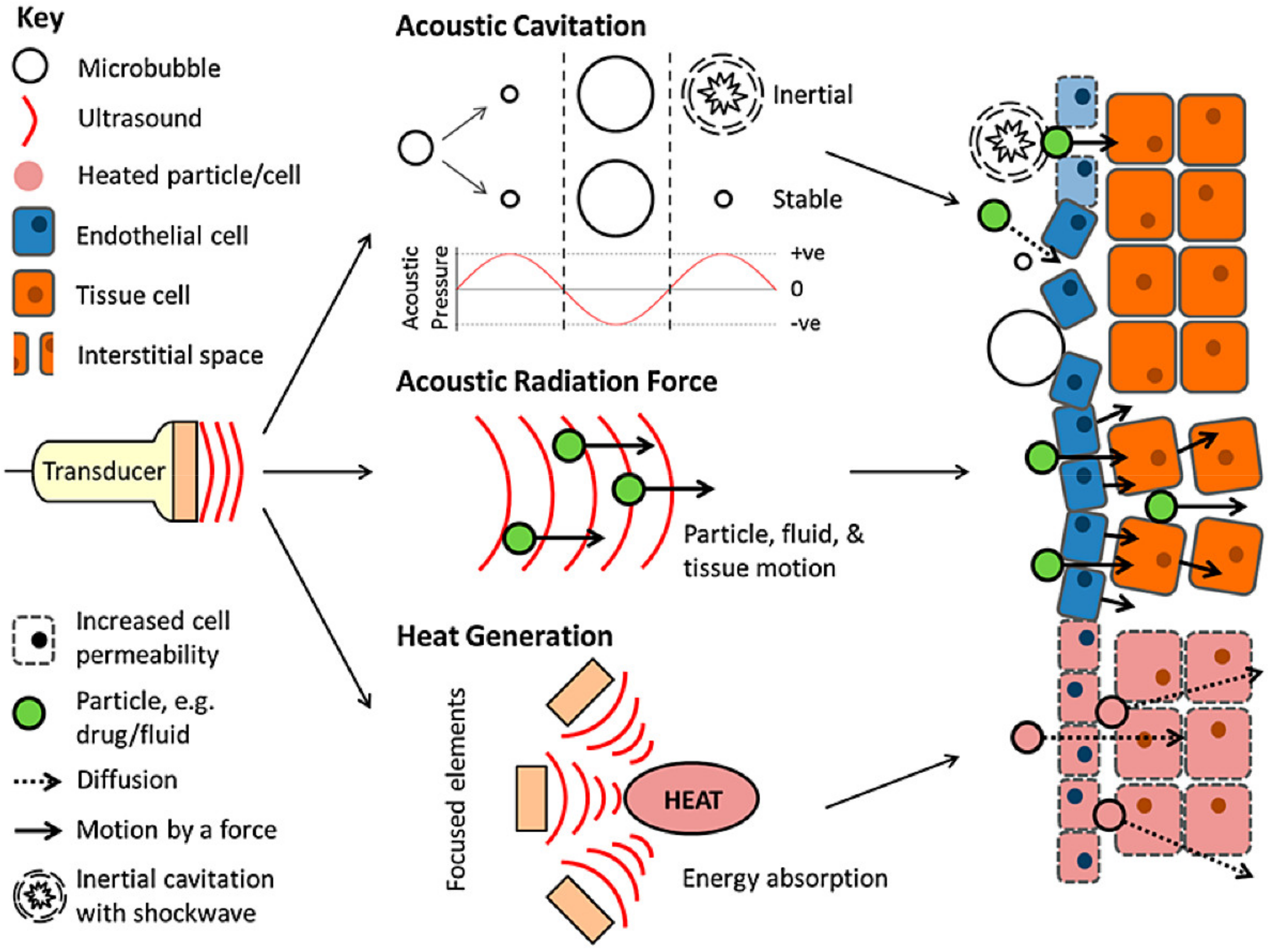 Molecules 26 05905 g037 550
