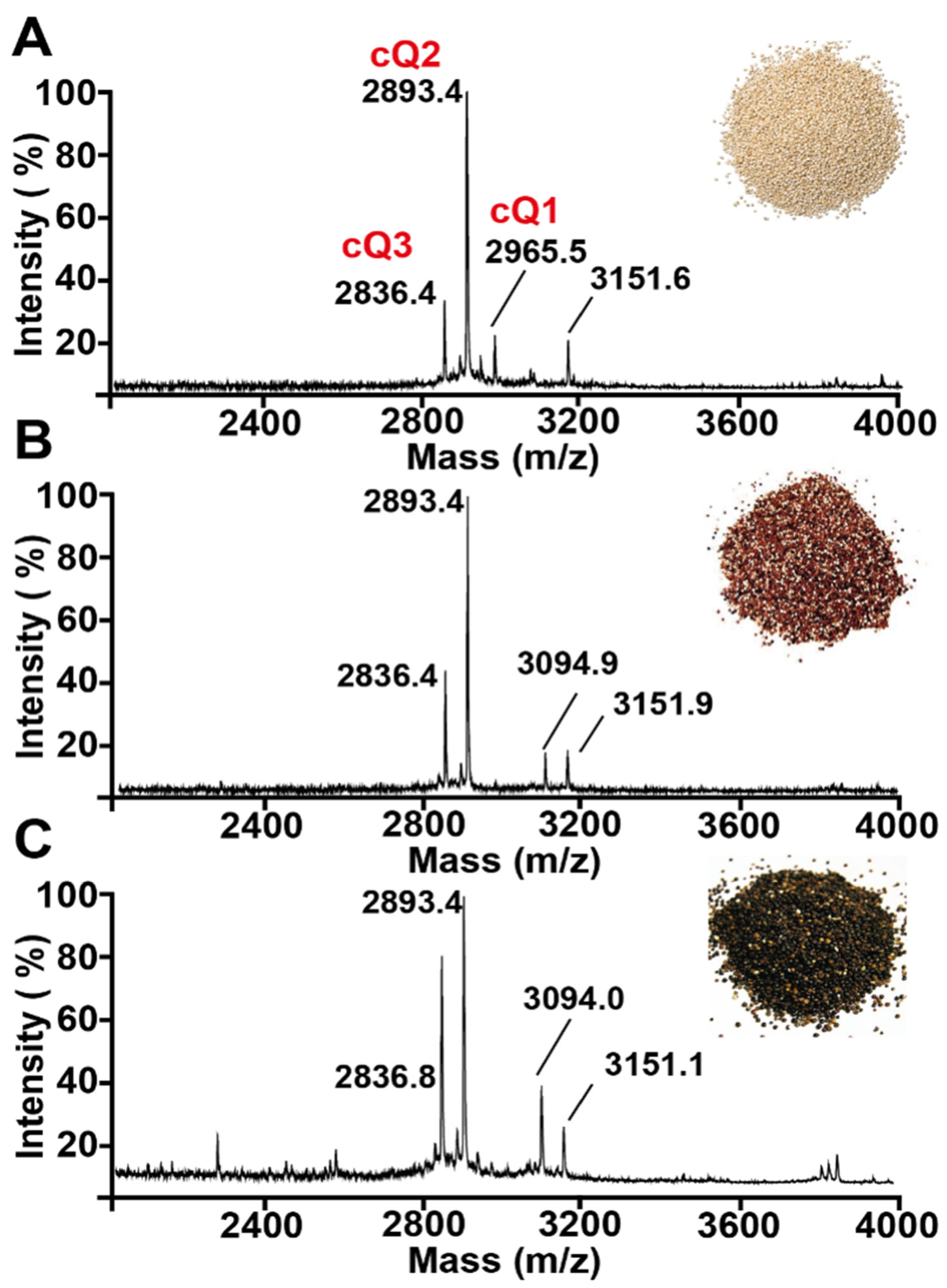 Molecules 26 05909 g001