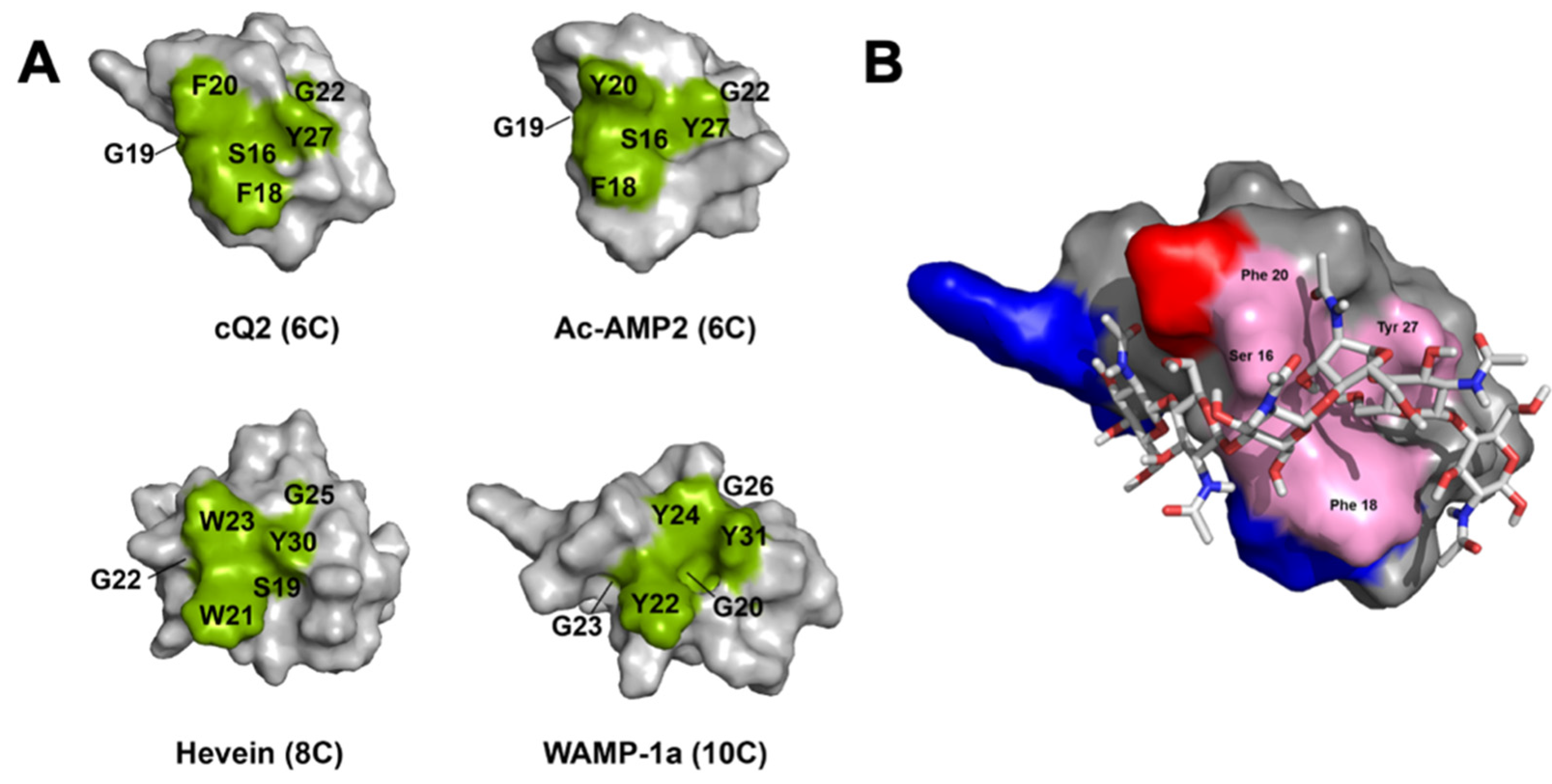 Molecules 26 05909 g004