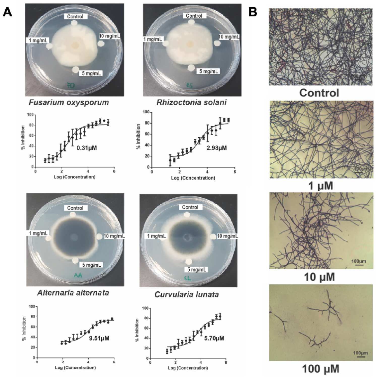 Molecules 26 05909 g006