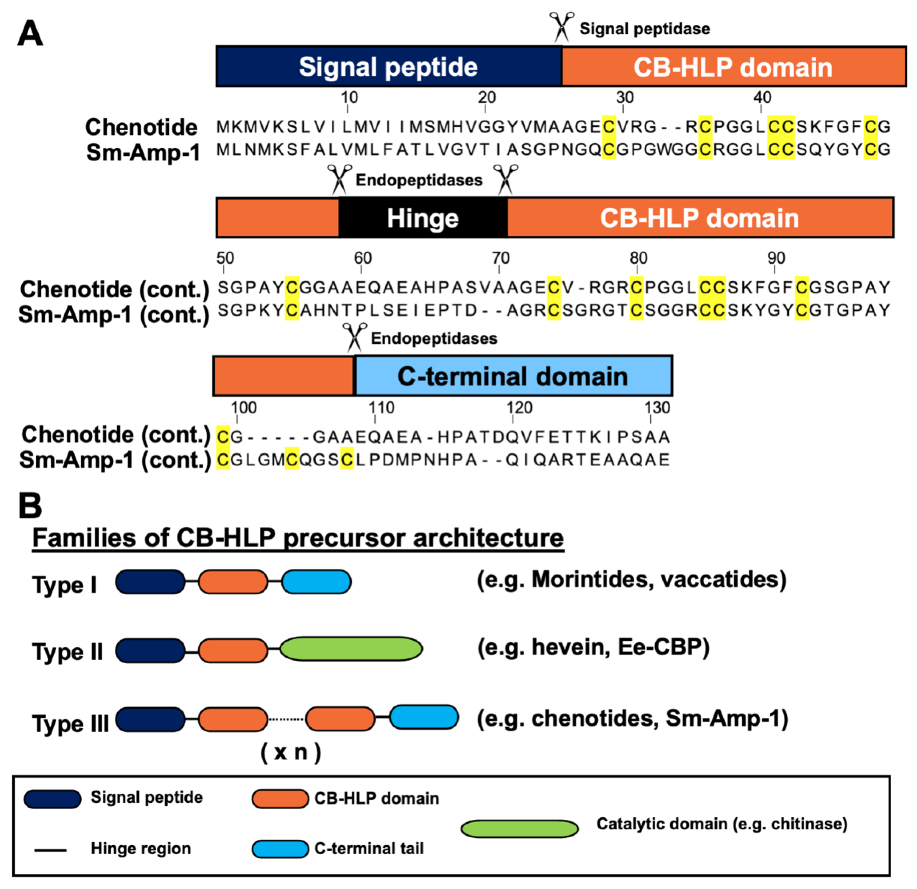Molecules 26 05909 g007