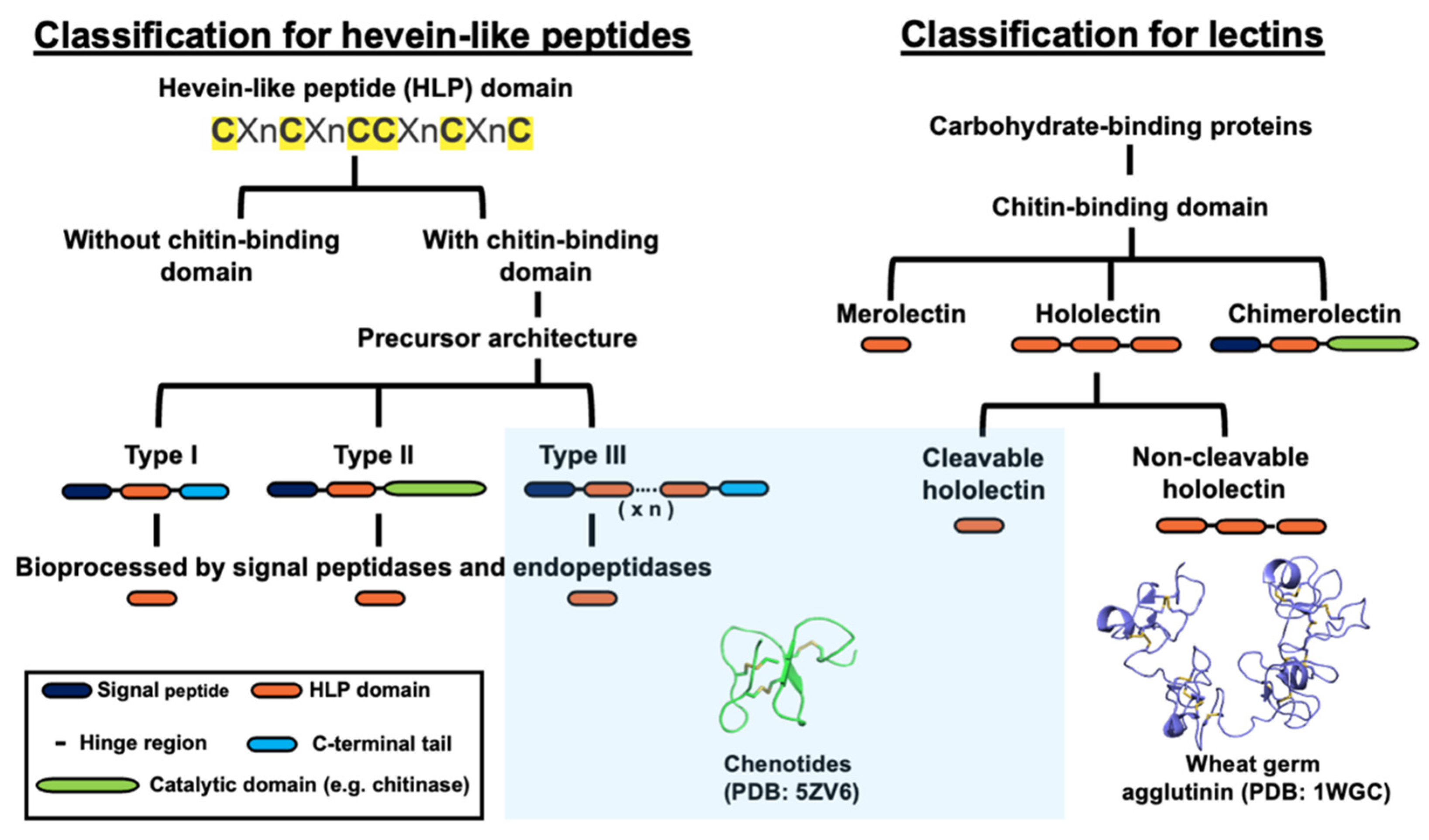Molecules 26 05909 g008