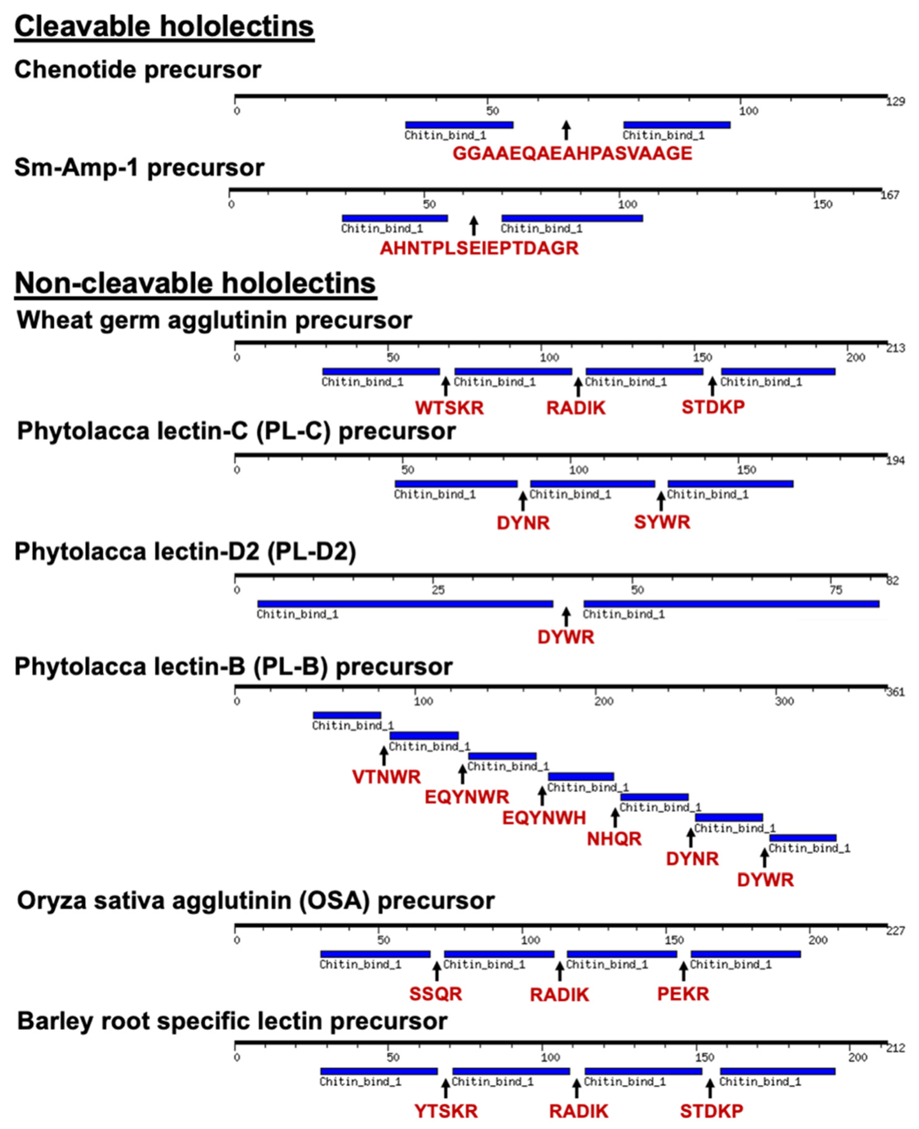 Molecules 26 05909 g009