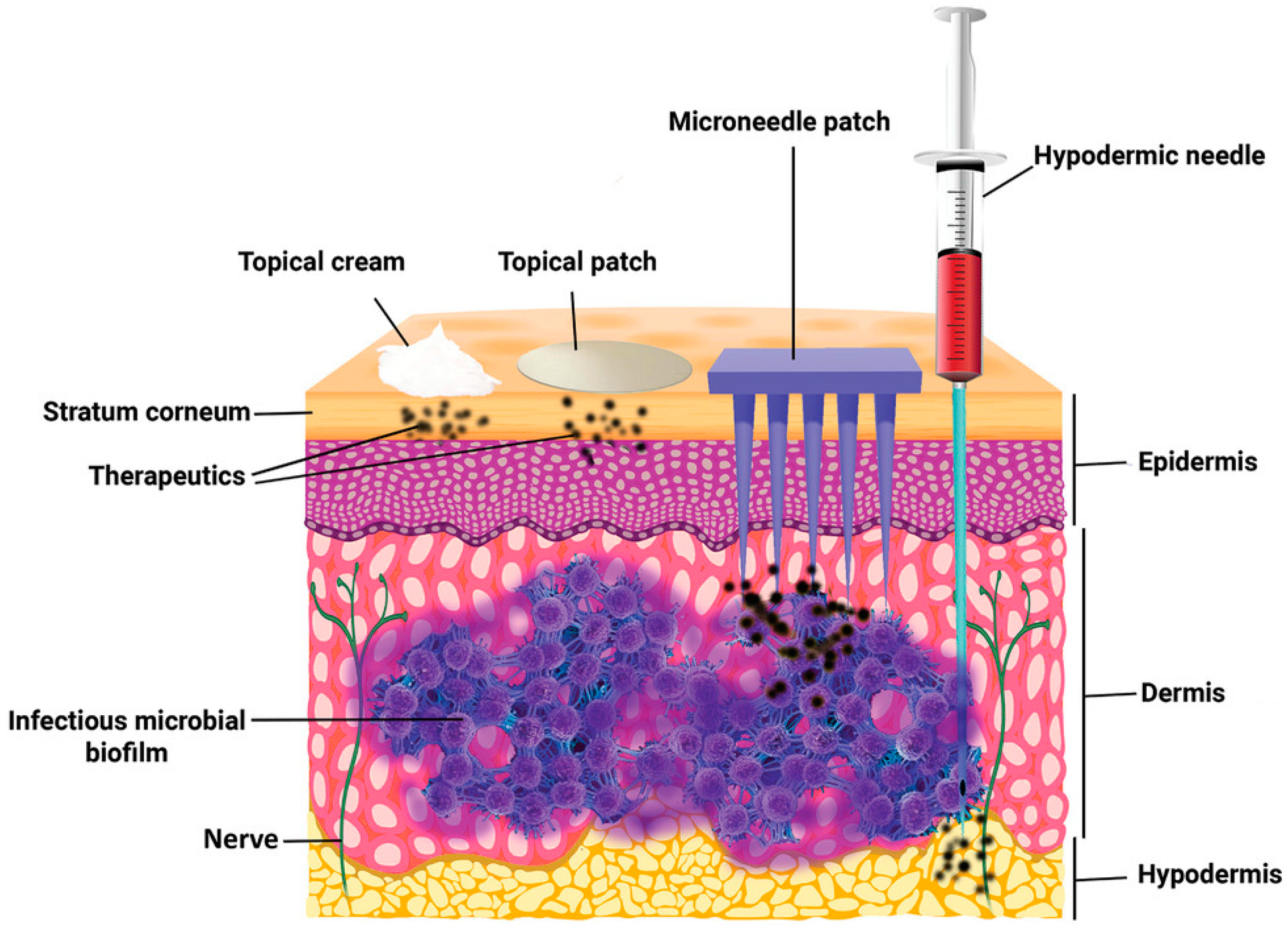 Molecules 26 05912 g001