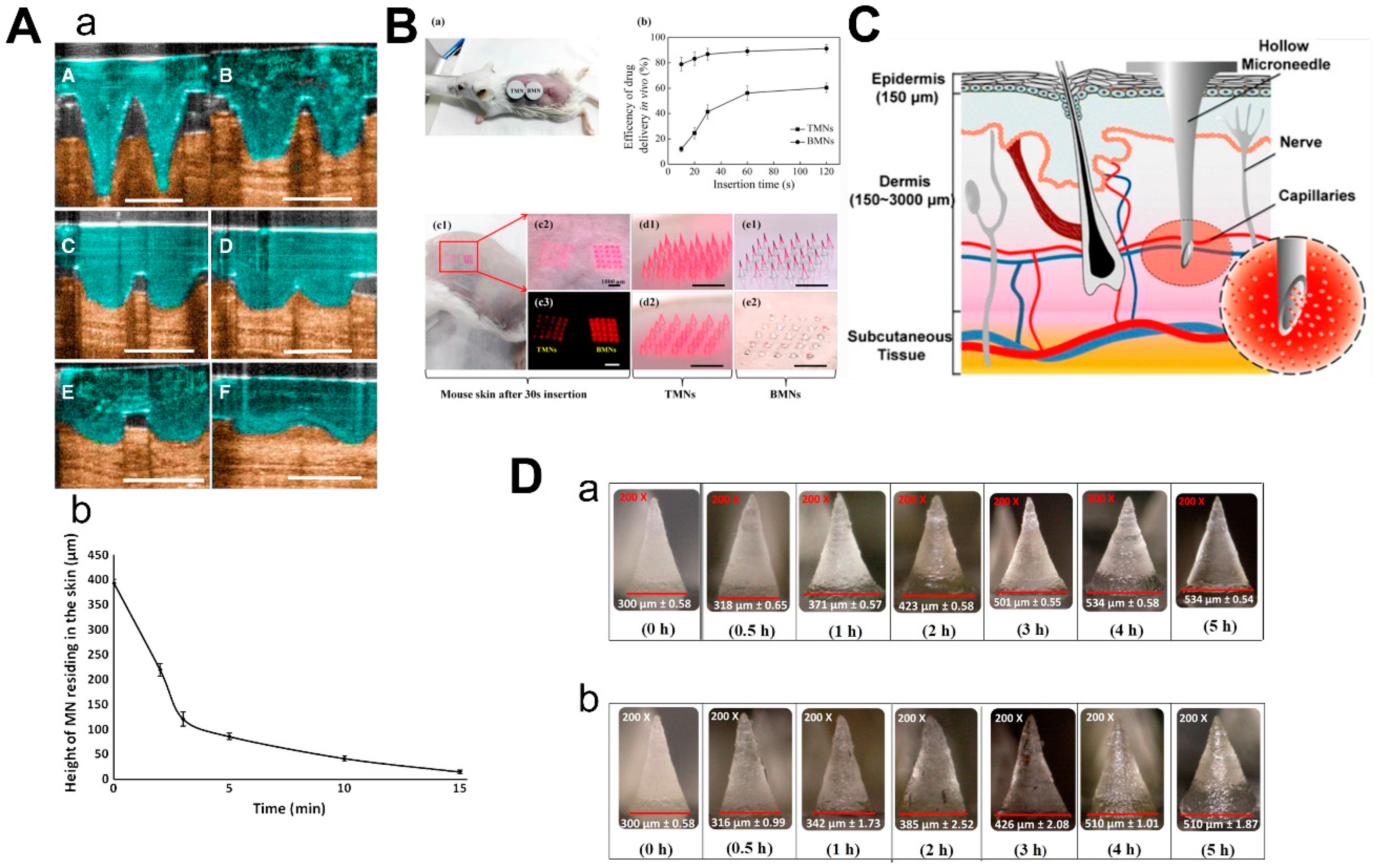 Molecules 26 05912 g005
