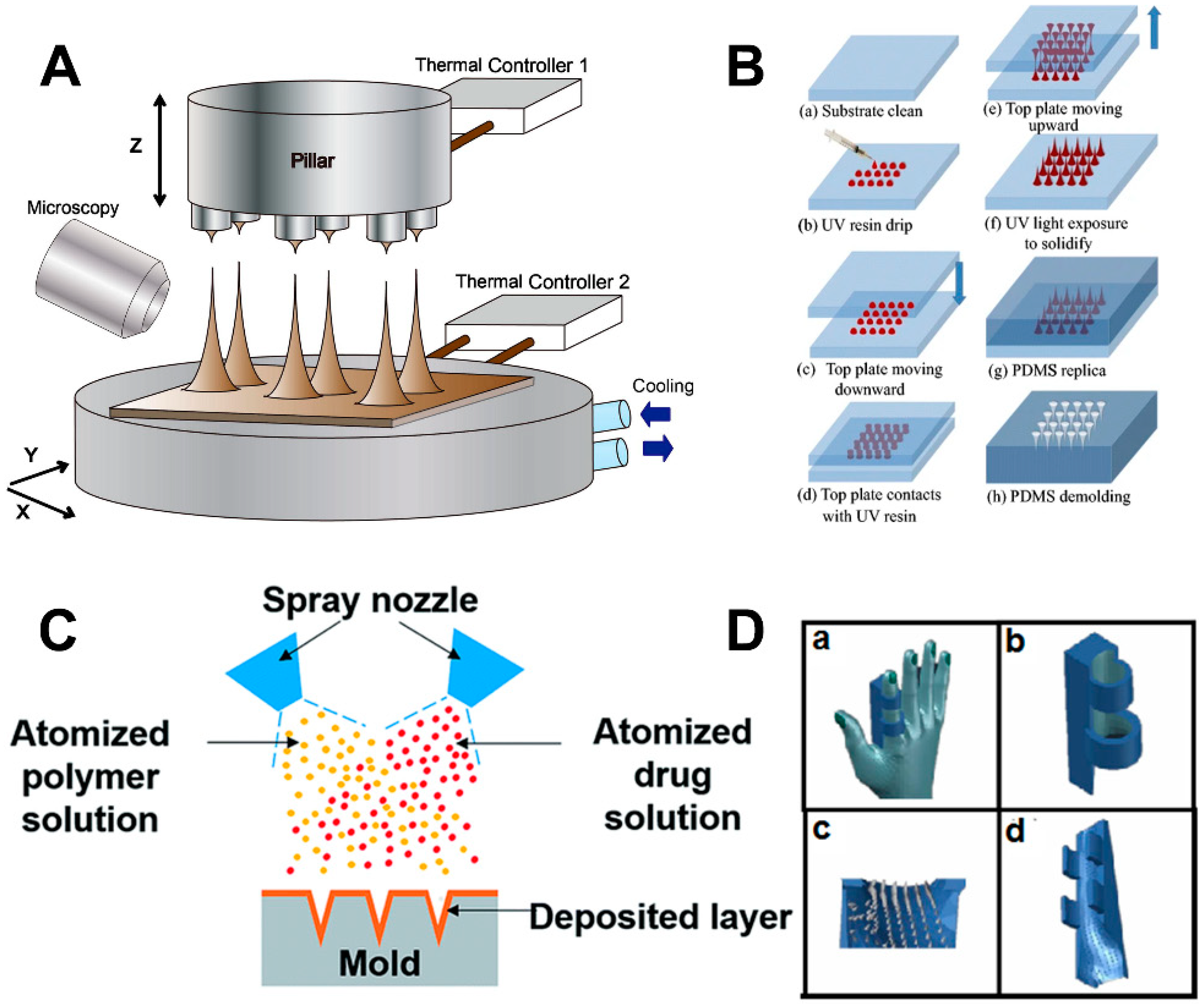 Molecules 26 05912 g006