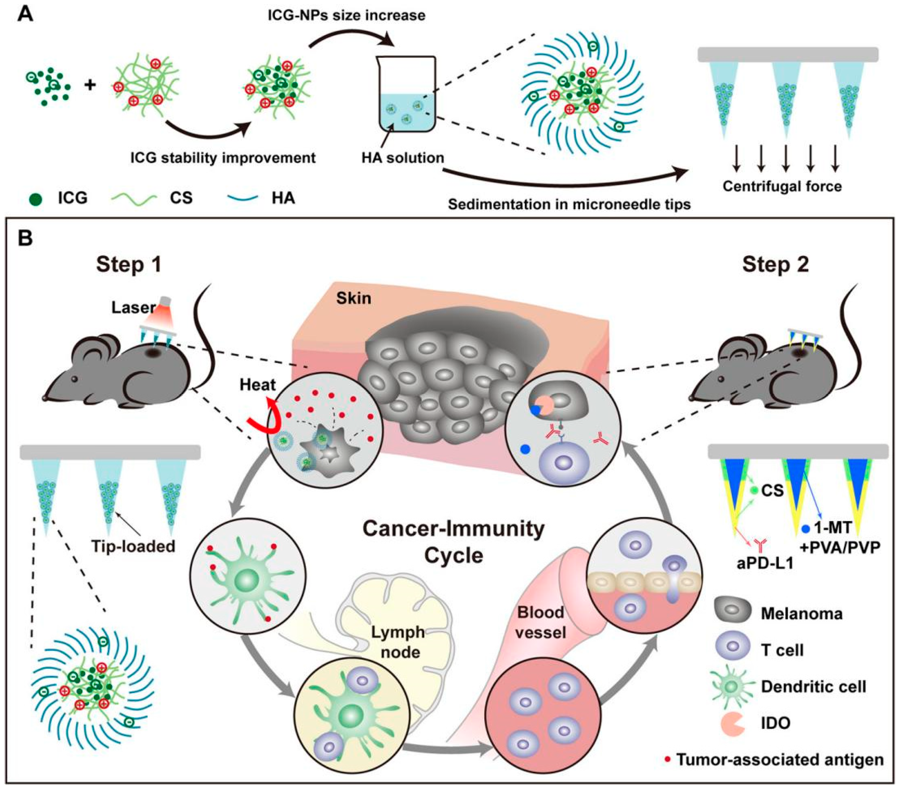 Molecules 26 05912 g011