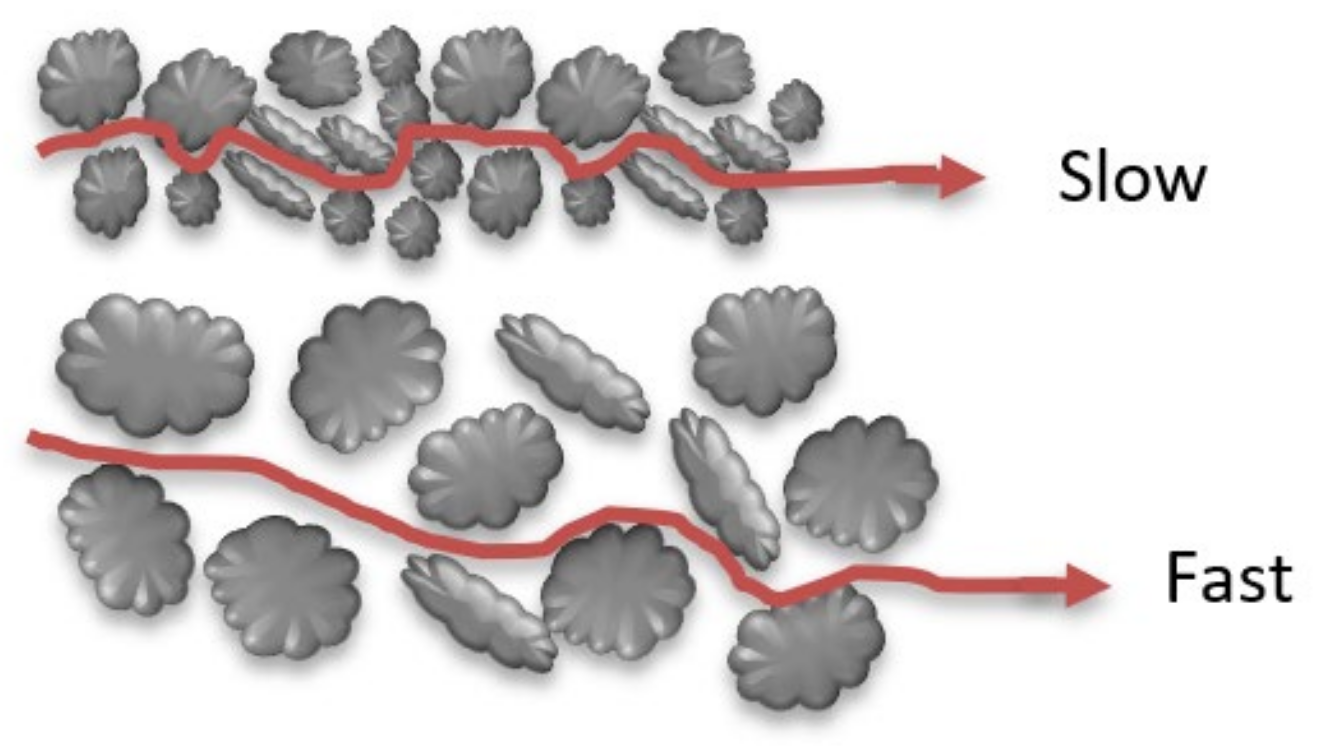 Molecules 26 05913 g003 Molecules 26 05913 g003