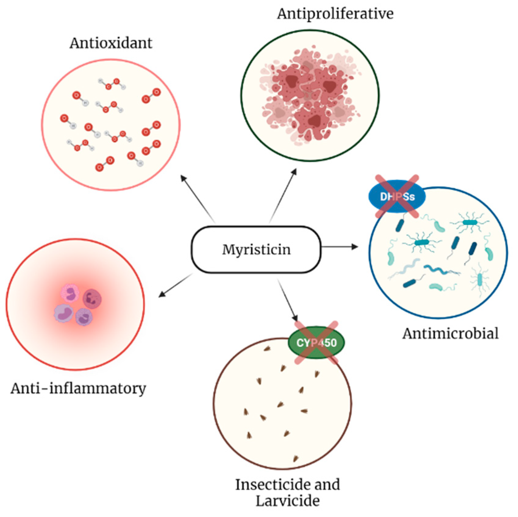 Molecules 26 05914 g003 Molecules 26 05914 g003