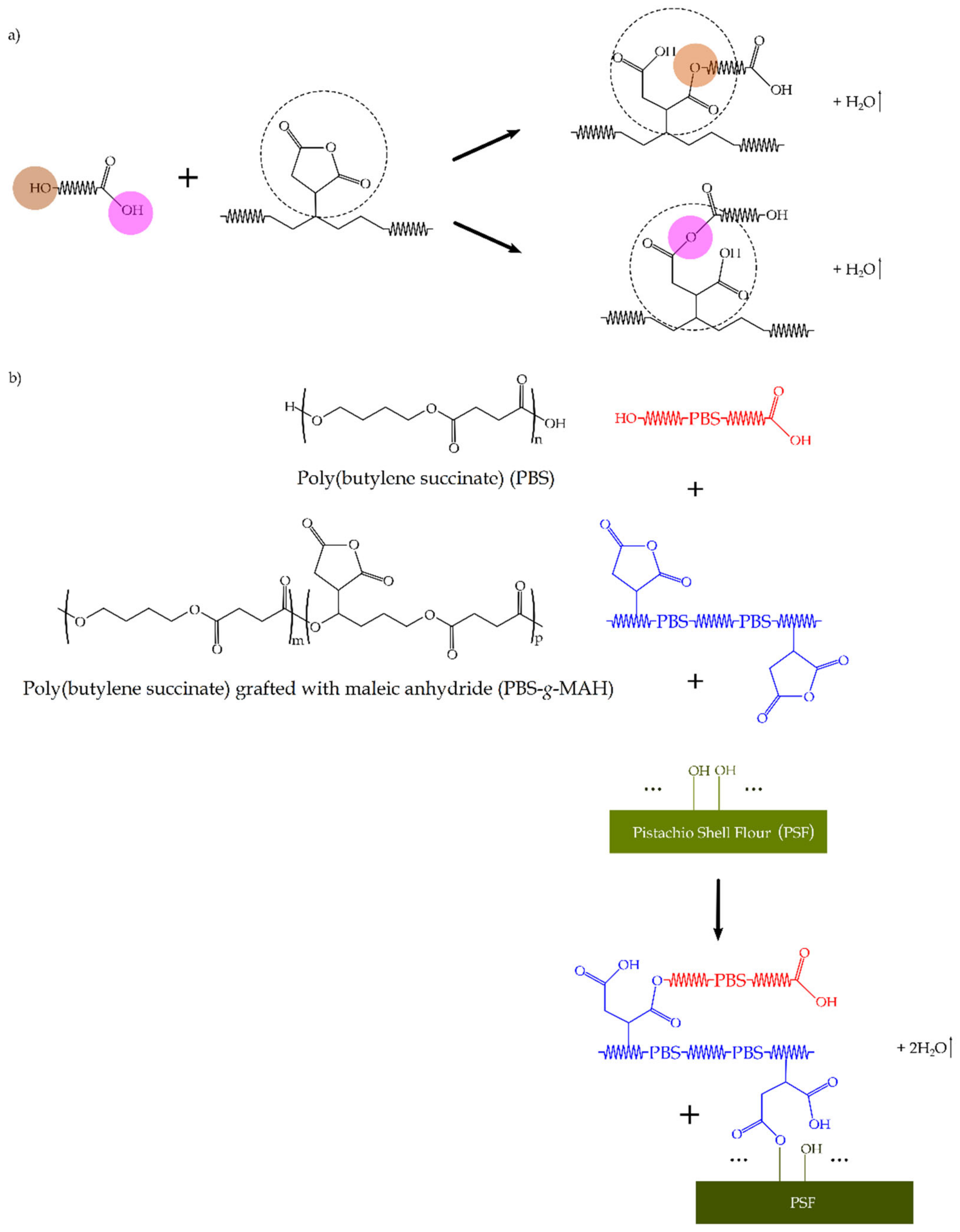Molecules 26 05927 g005 550