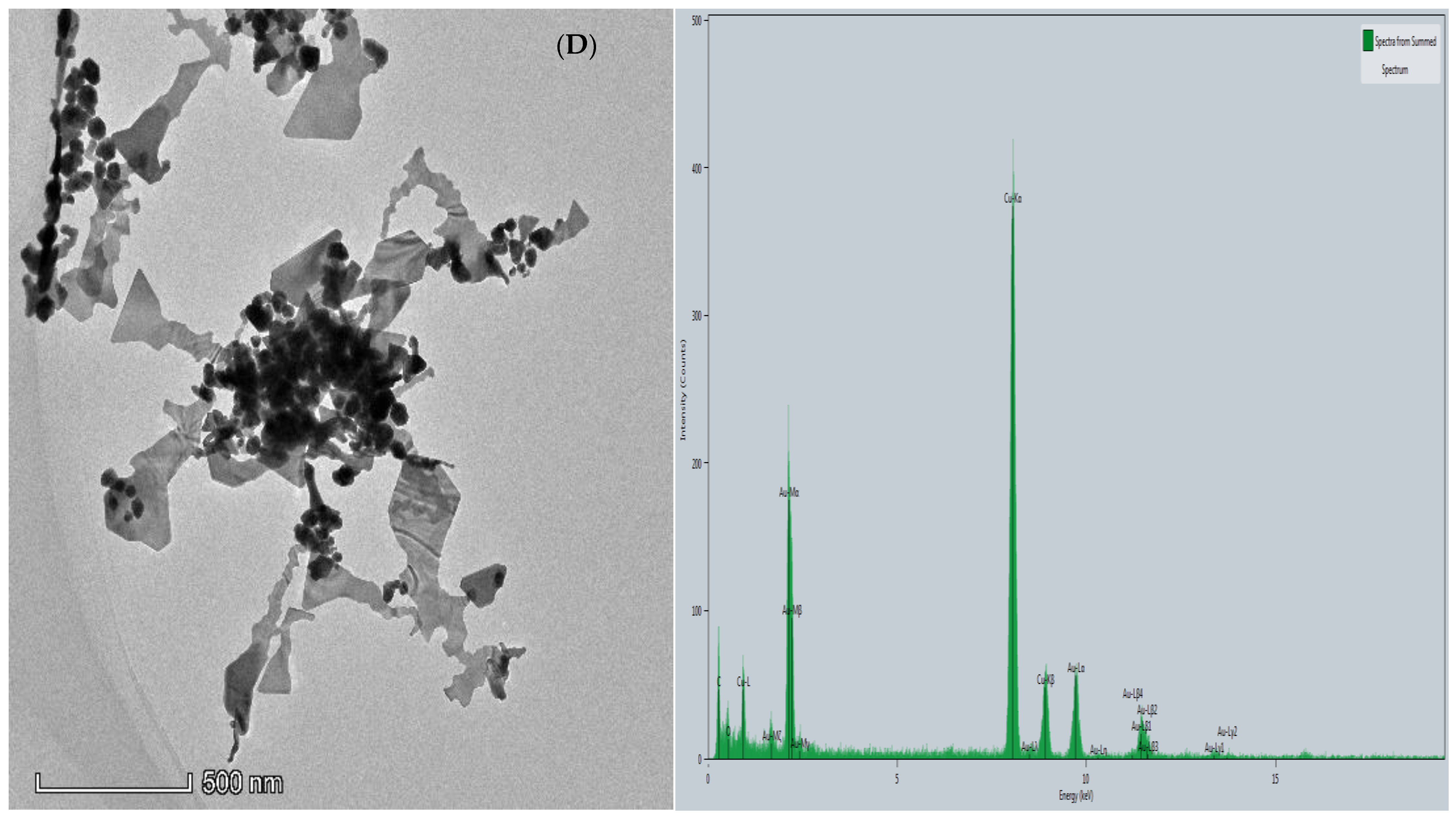 Molecules 26 05930 g003b