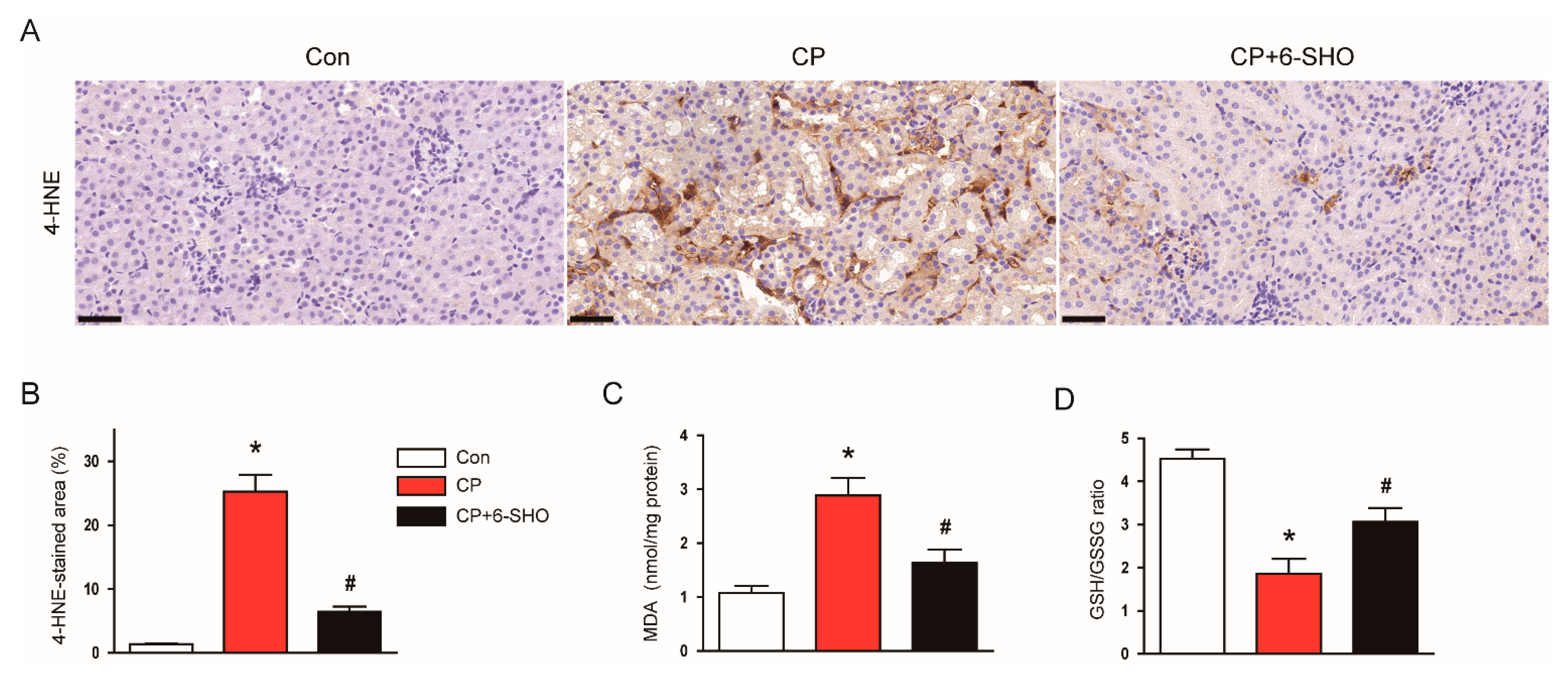 Molecules 26 05931 g004 550