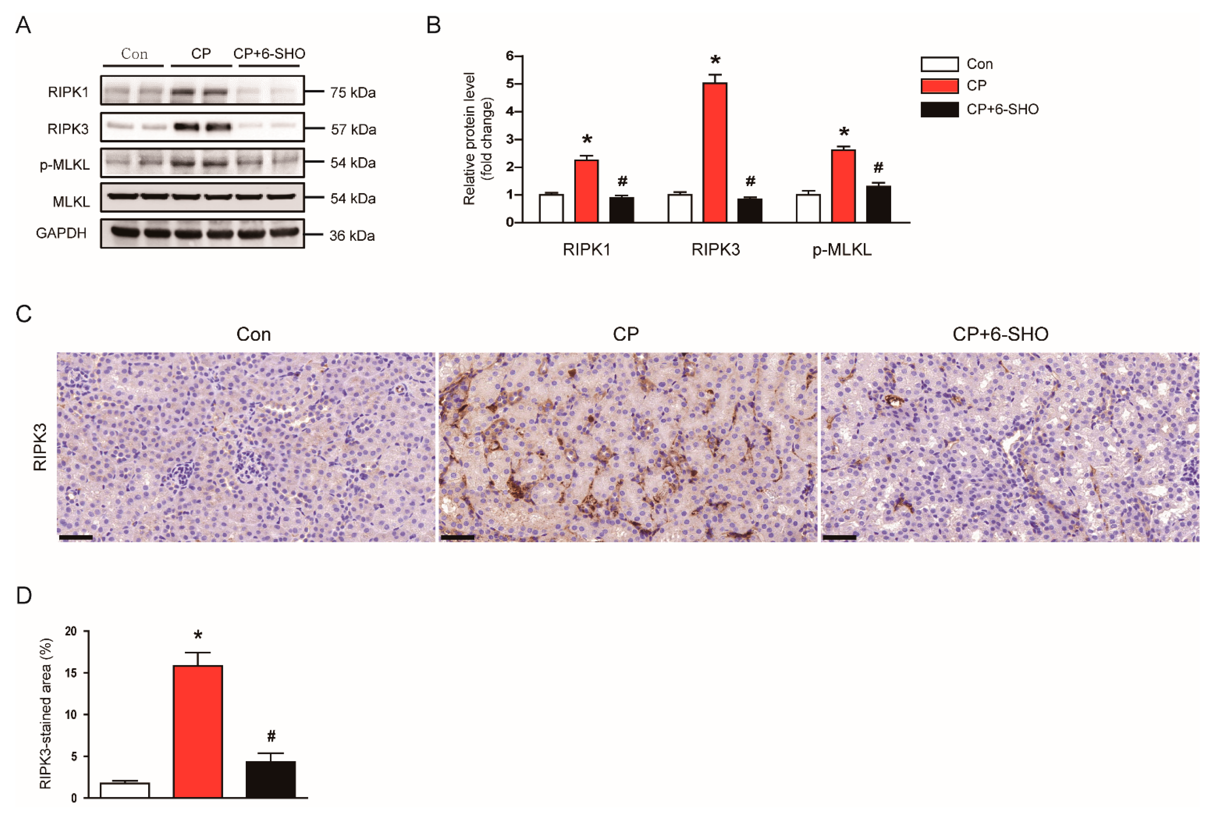 Molecules 26 05931 g007 550