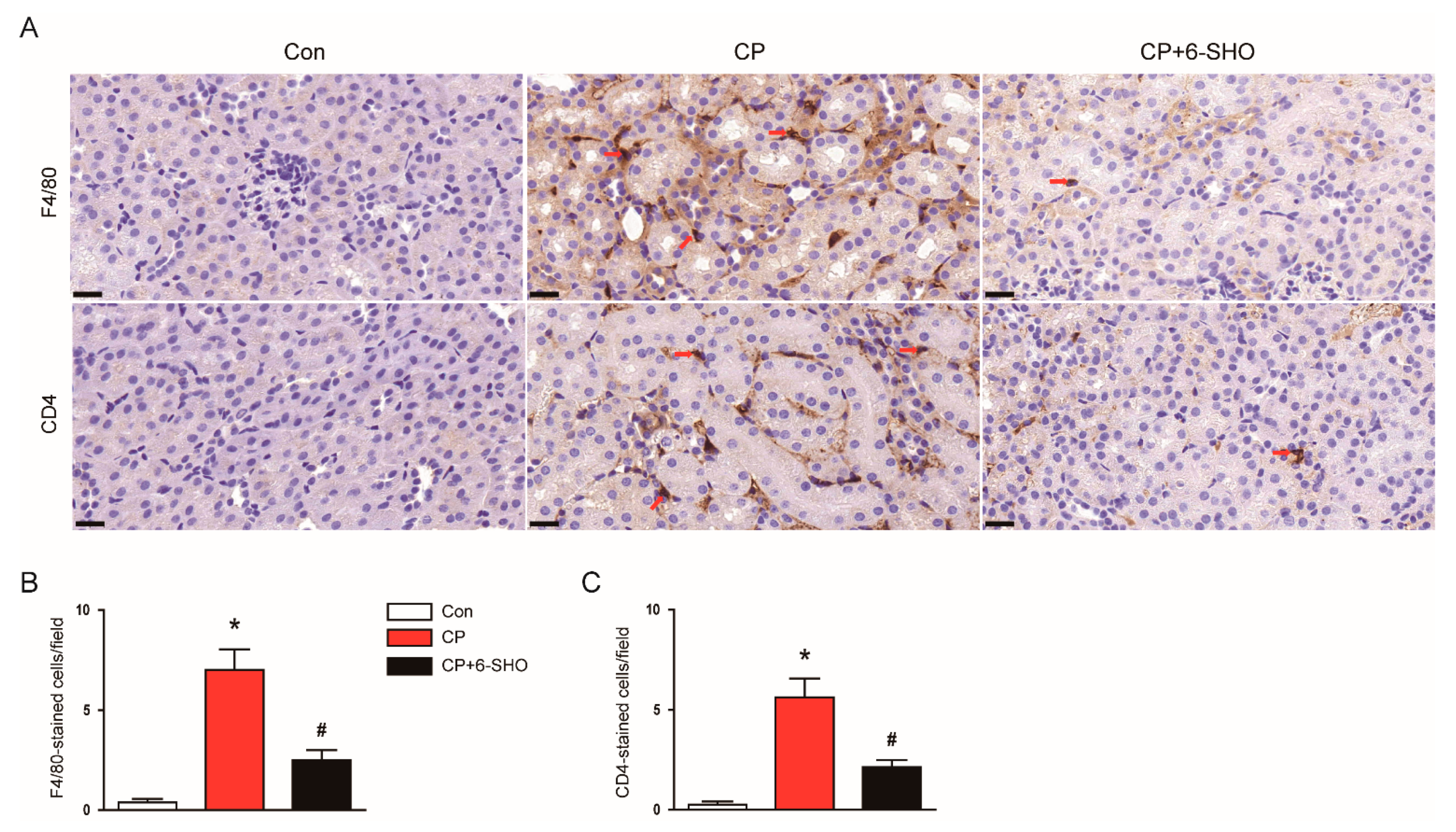 Molecules 26 05931 g009 550