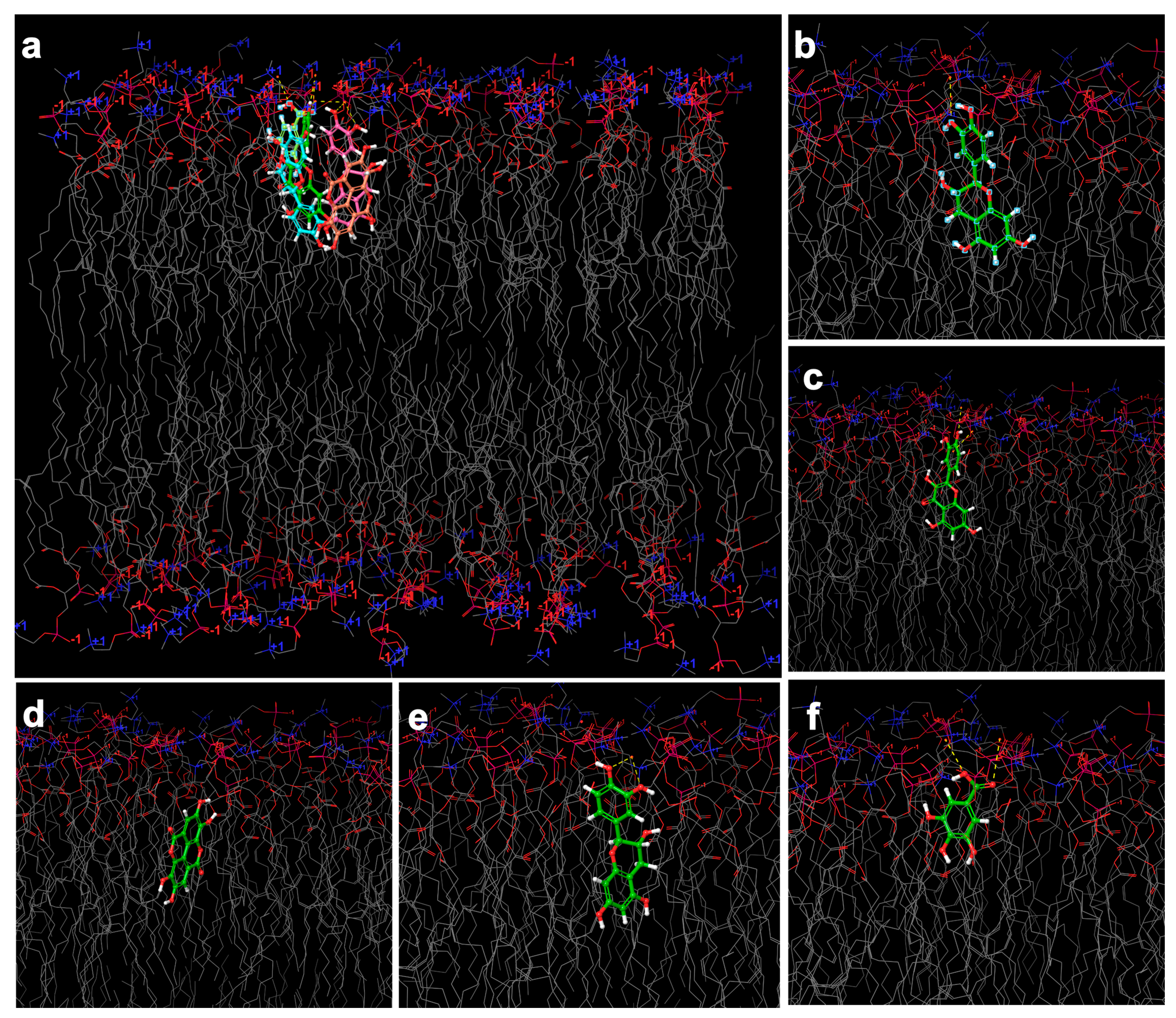 Molecules 26 05935 g006
