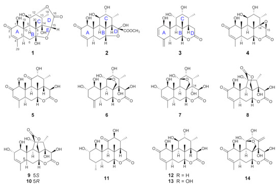 Quassinoids from the Roots of Eurycoma longifolia and Their Anti ...