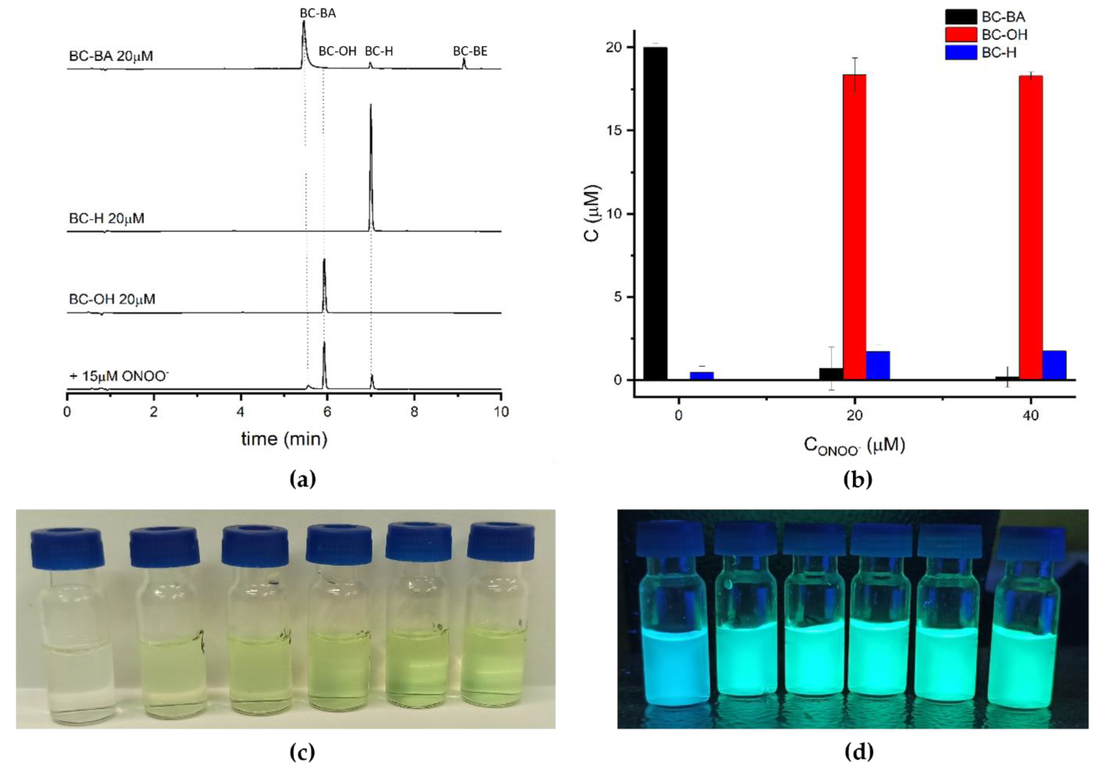 Molecules 26 05940 g003 Molecules 26 05940 g003