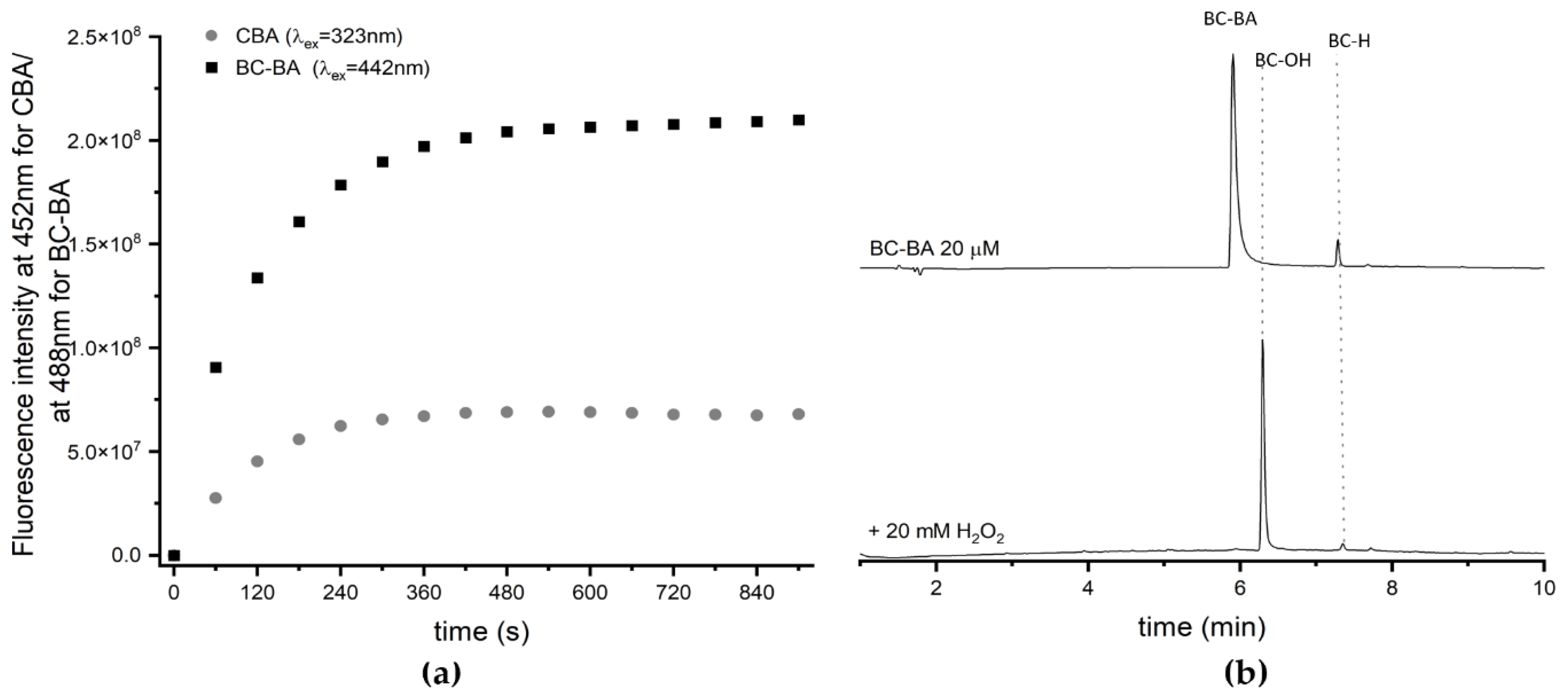 Molecules 26 05940 g004 Molecules 26 05940 g004