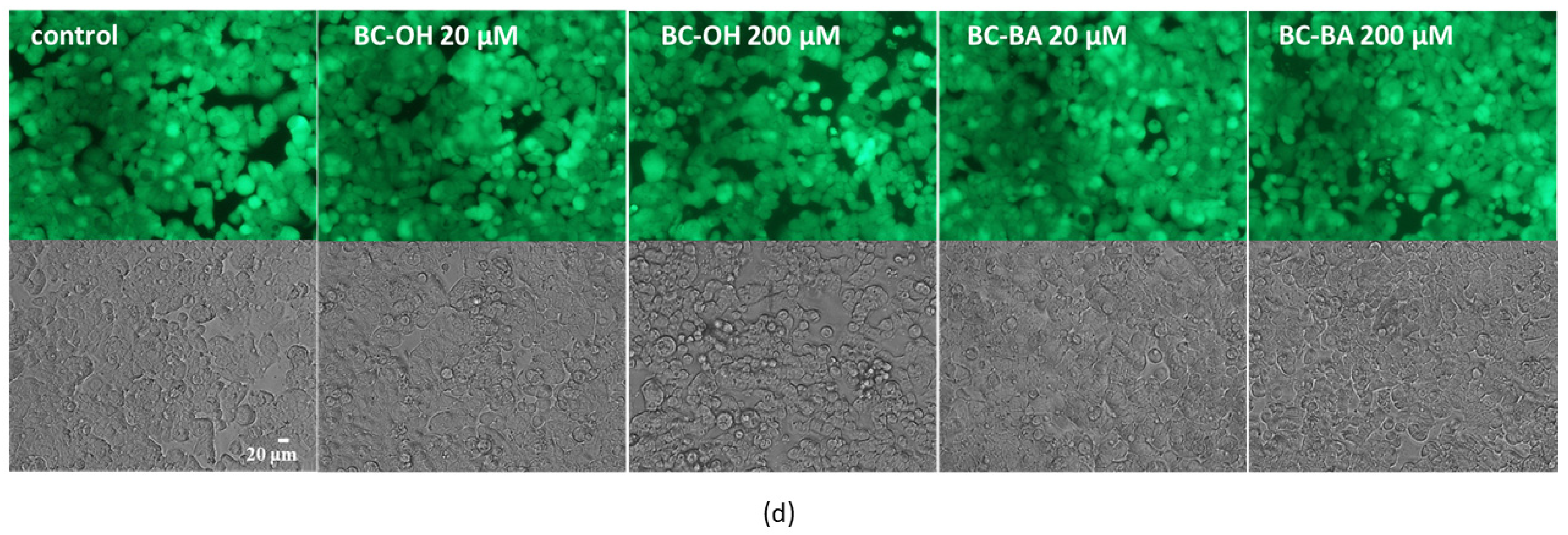 Molecules 26 05940 g007b Molecules 26 05940 g007b