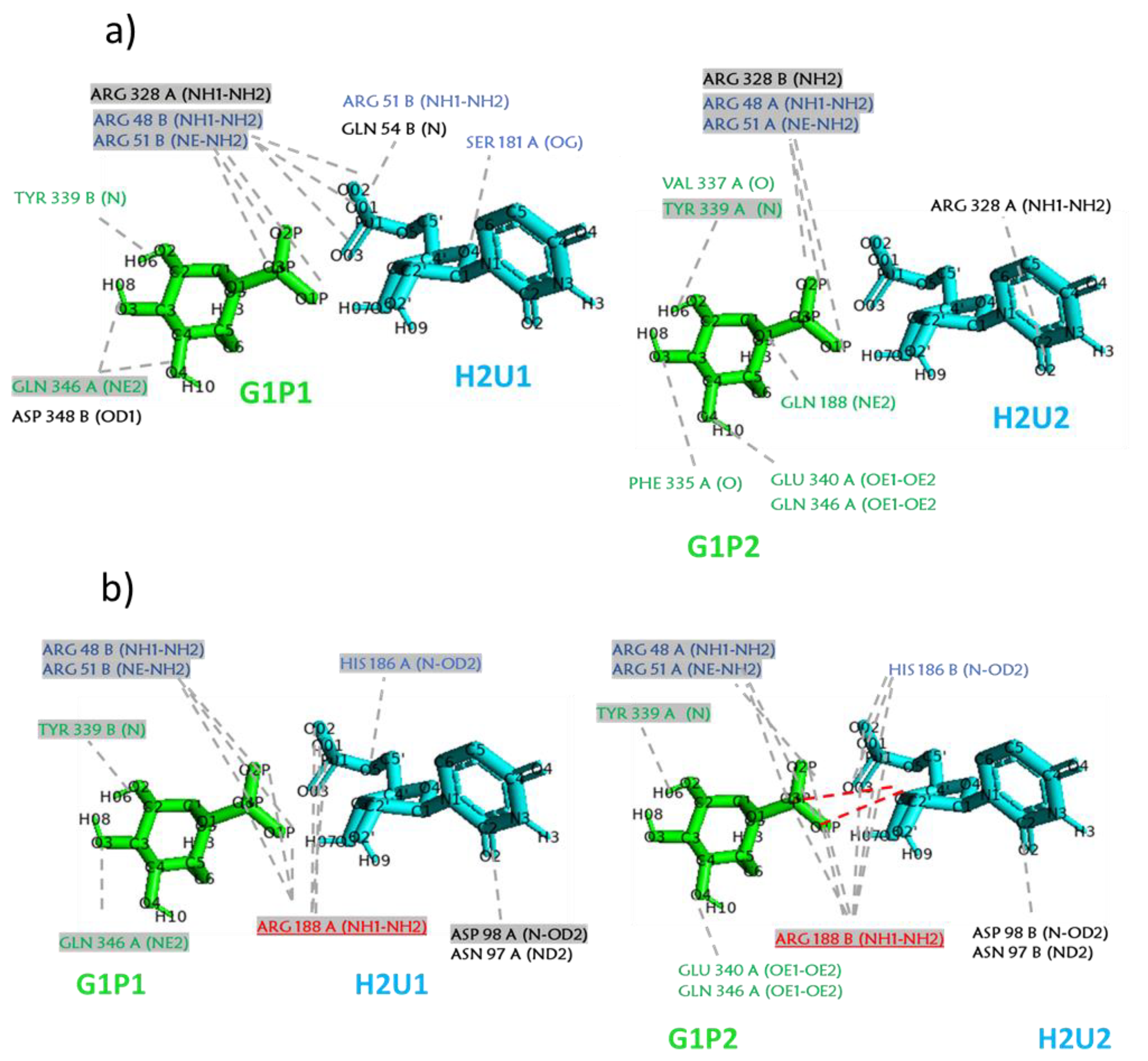 Molecules 26 05941 g003