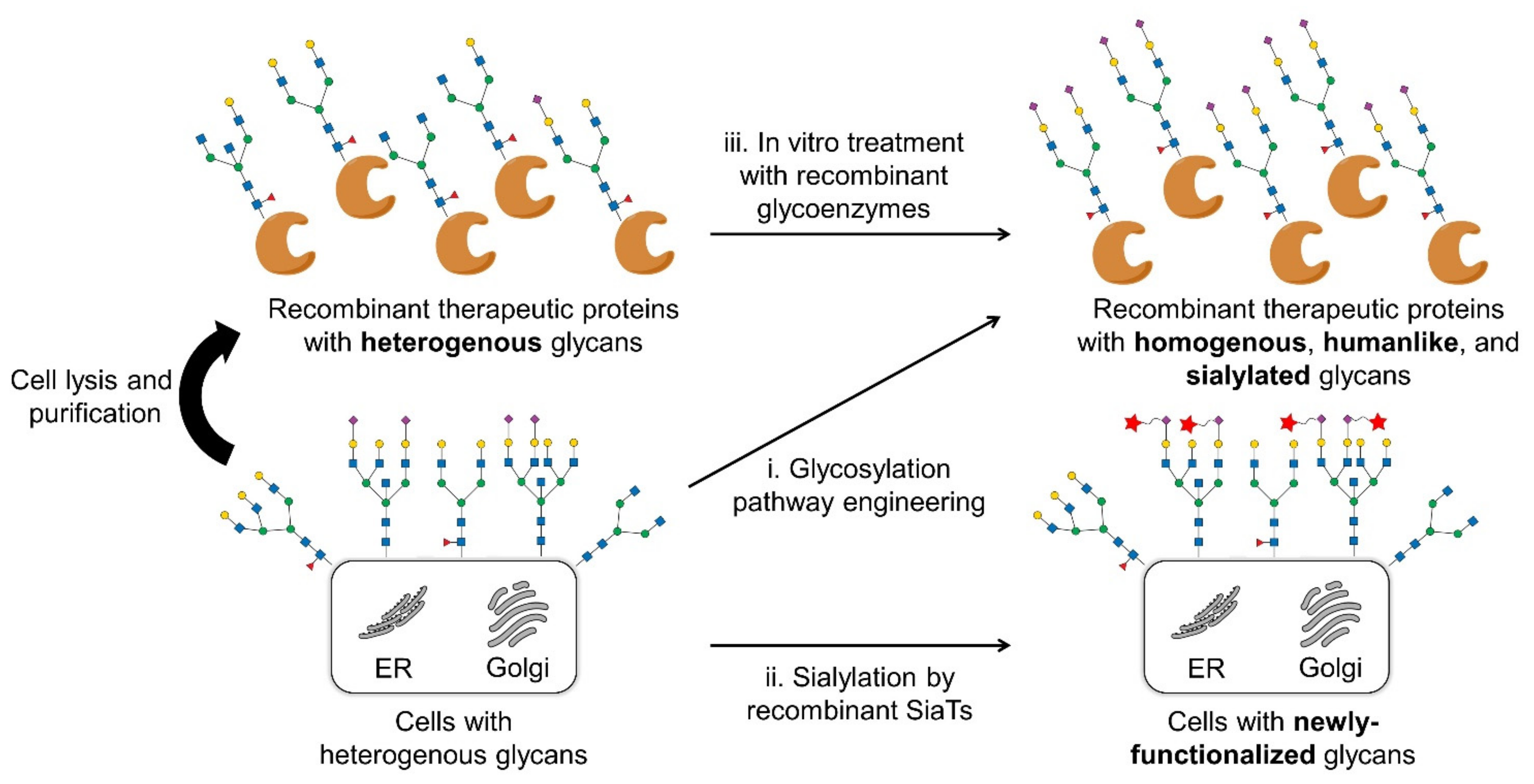 Molecules 26 05950 g001 Molecules 26 05950 g001