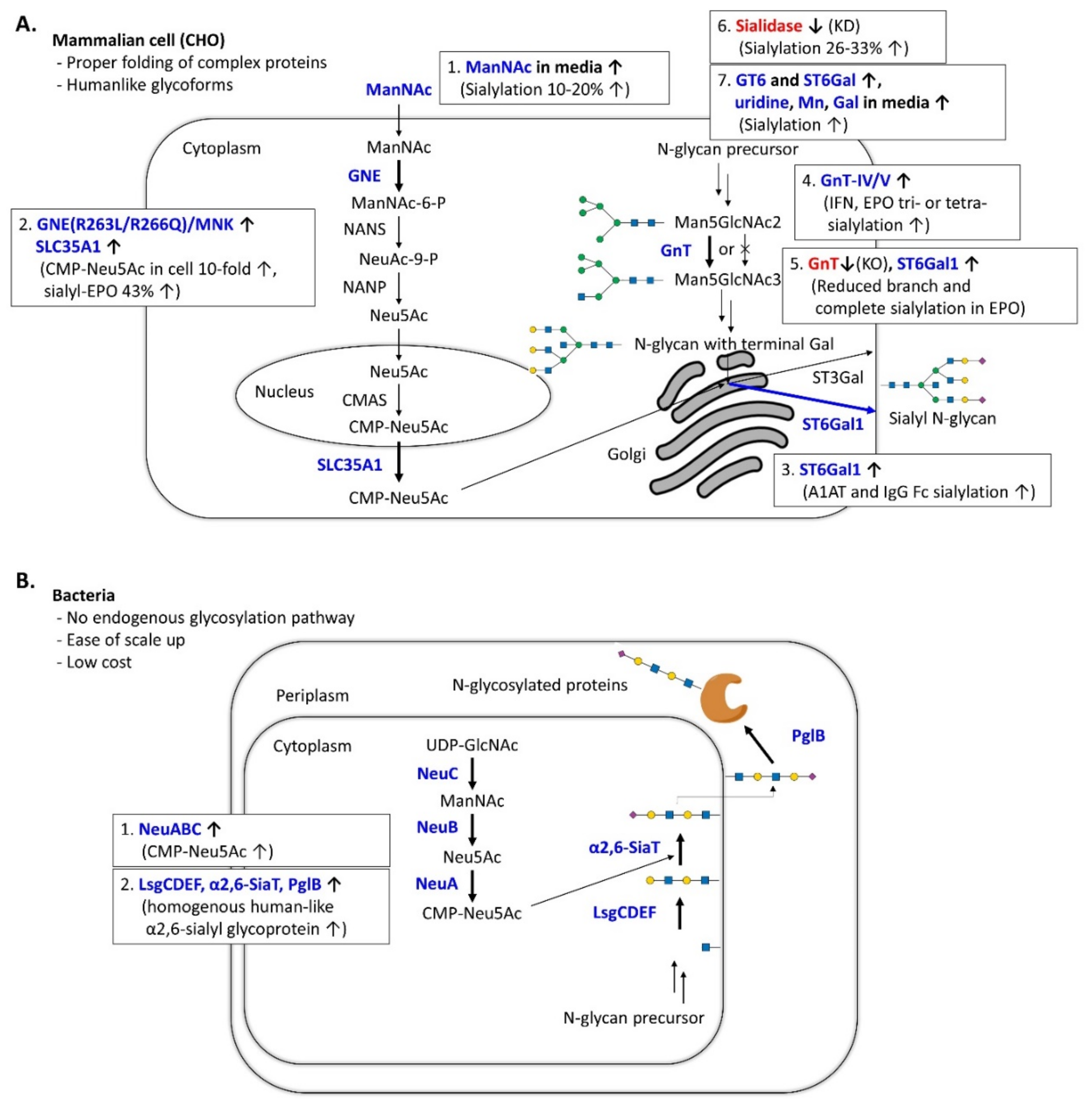 Molecules 26 05950 g002a Molecules 26 05950 g002a