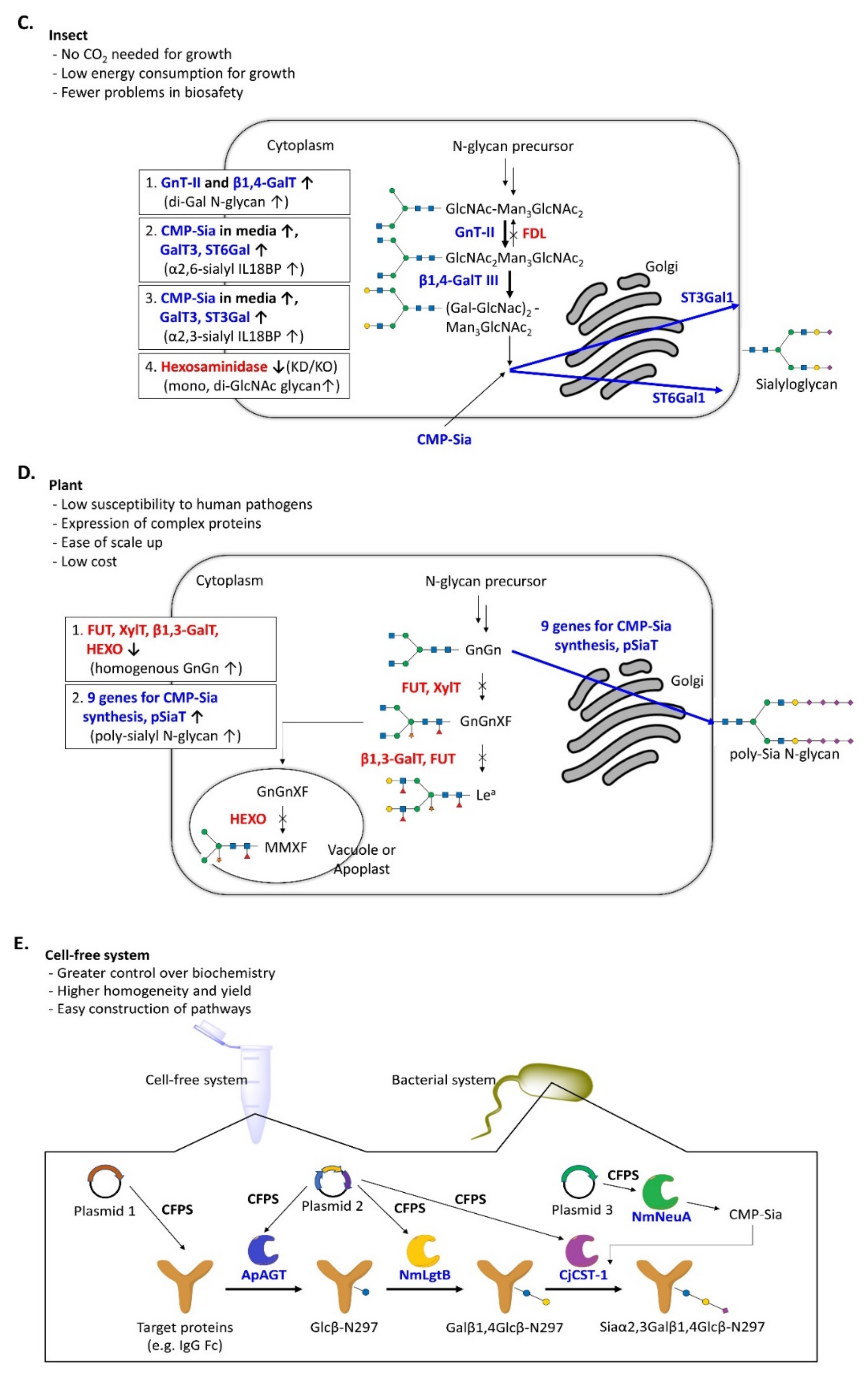 Molecules 26 05950 g002b Molecules 26 05950 g002b