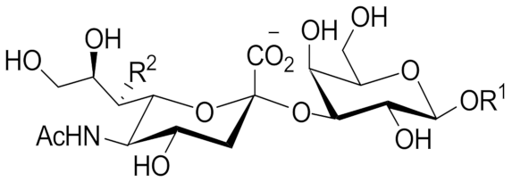 Molecules 26 05950 i015 Molecules 26 05950 i015