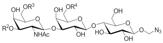 Molecules 26 05950 i018 Molecules 26 05950 i018