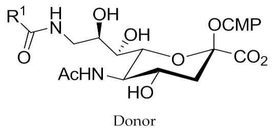 Molecules 26 05950 i030 Molecules 26 05950 i030