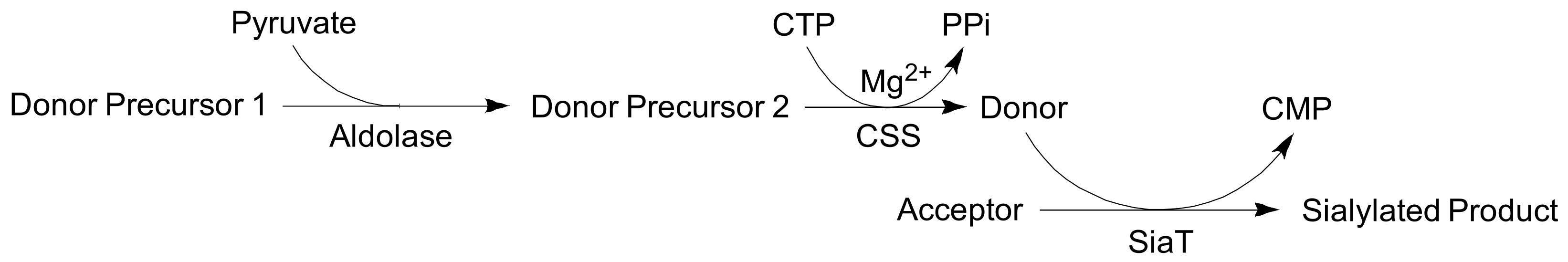 Molecules 26 05950 sch001 Molecules 26 05950 sch001