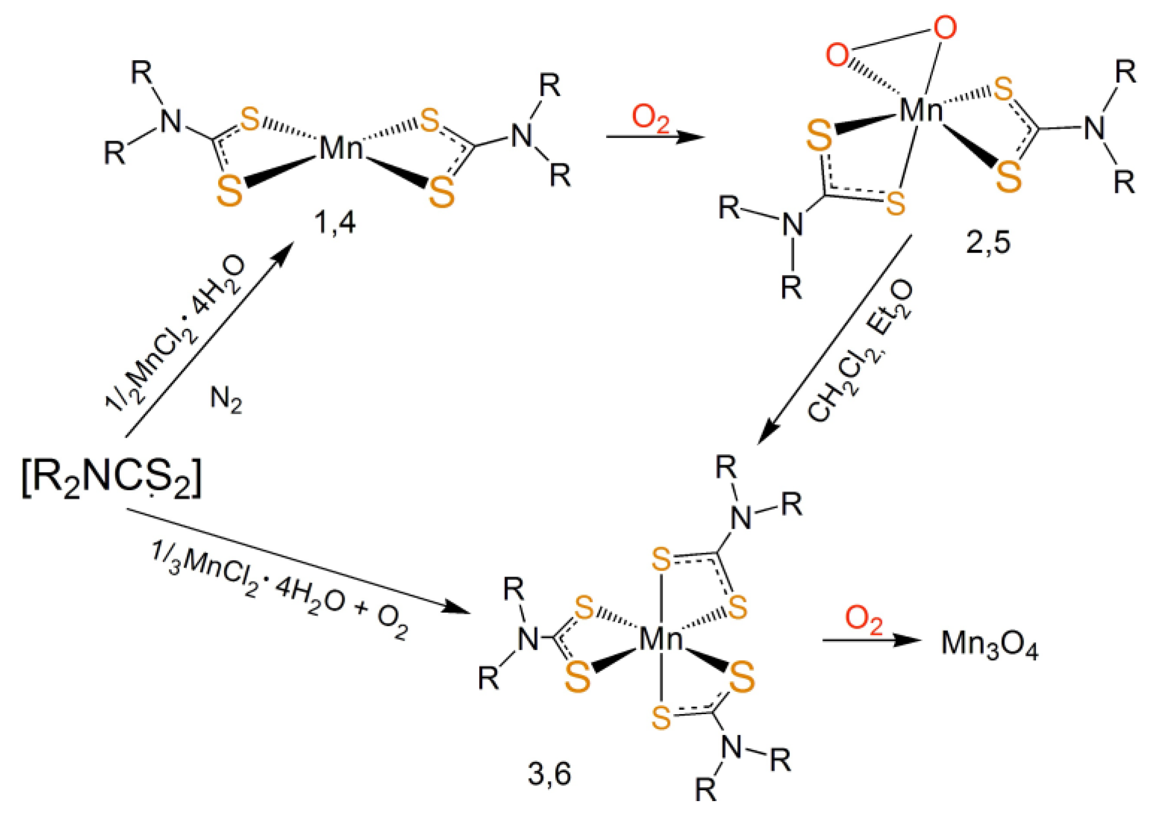 Molecules 26 05954 g004 550