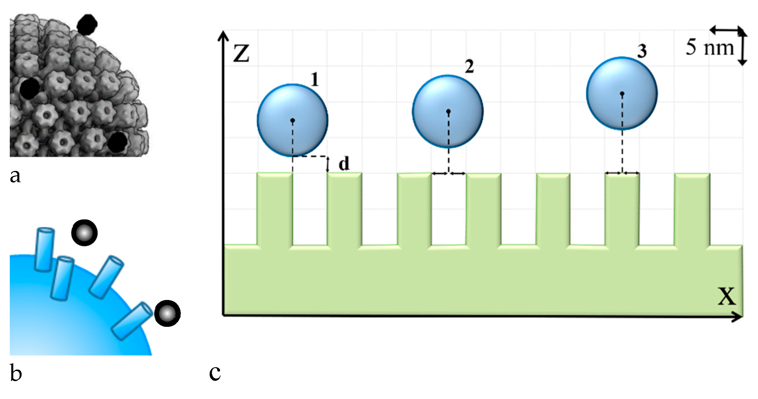 Molecules 26 05960 g003 550