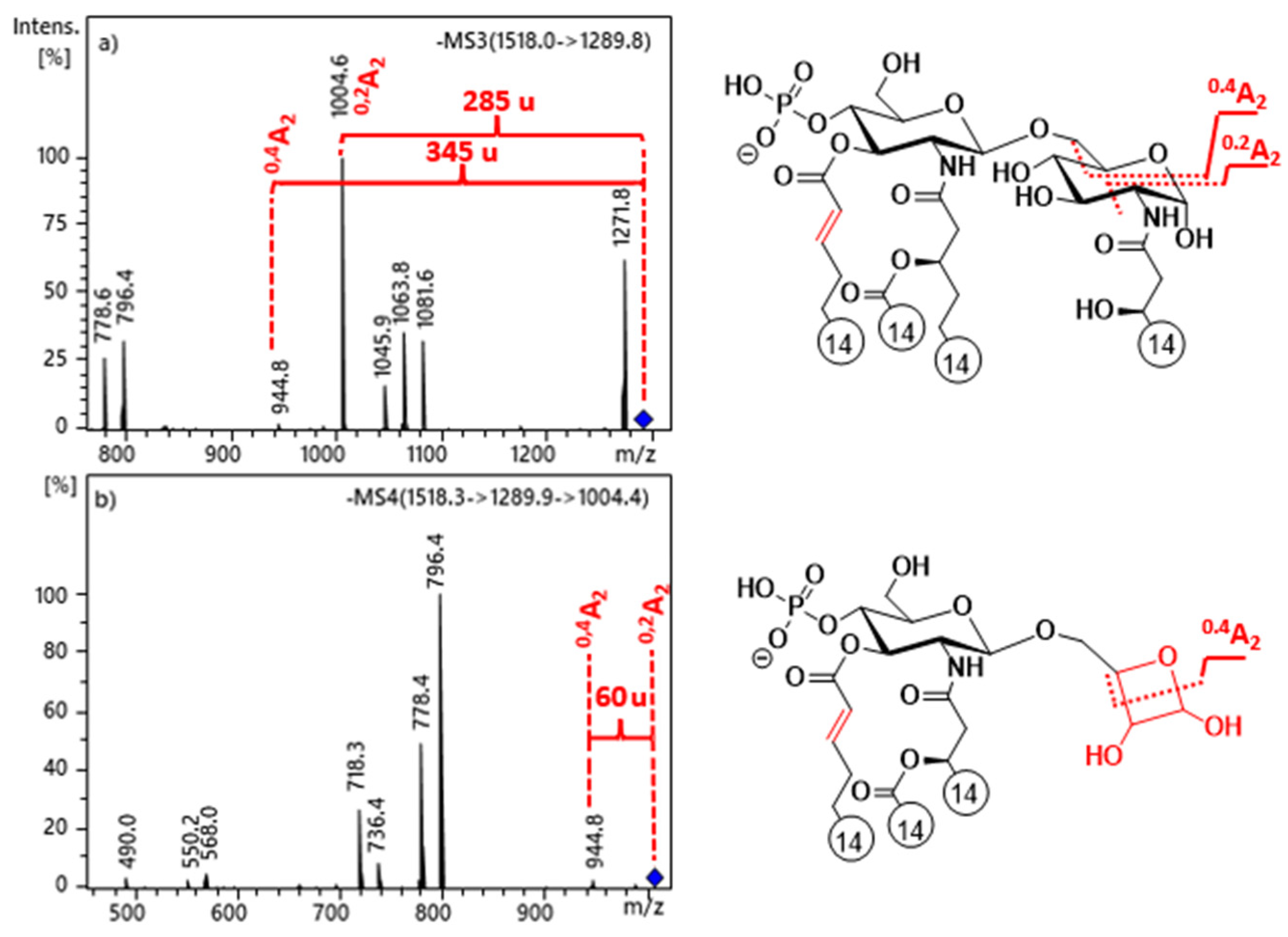 Molecules 26 05961 g002
